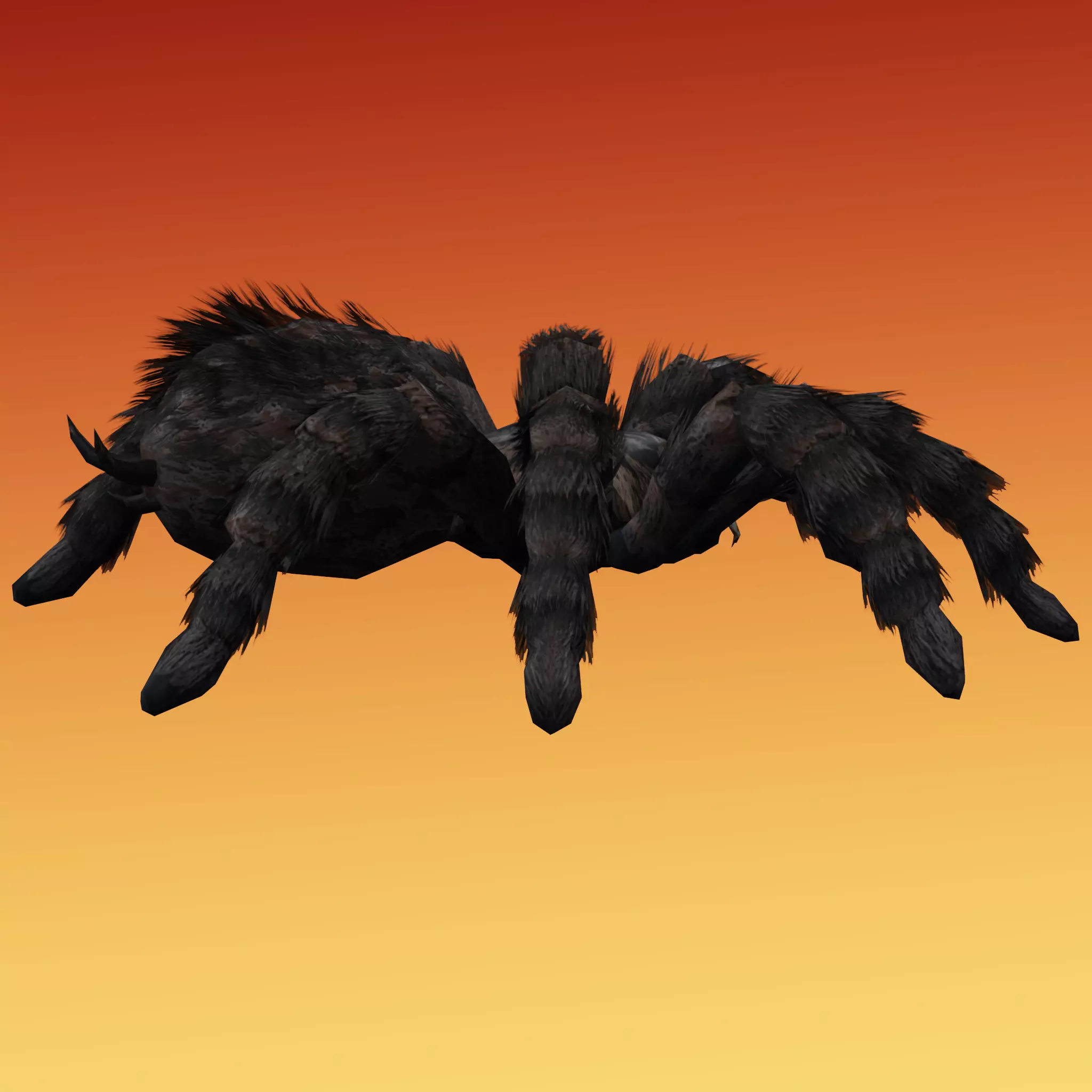 Spider Tarantula Low-poly 3D model_3