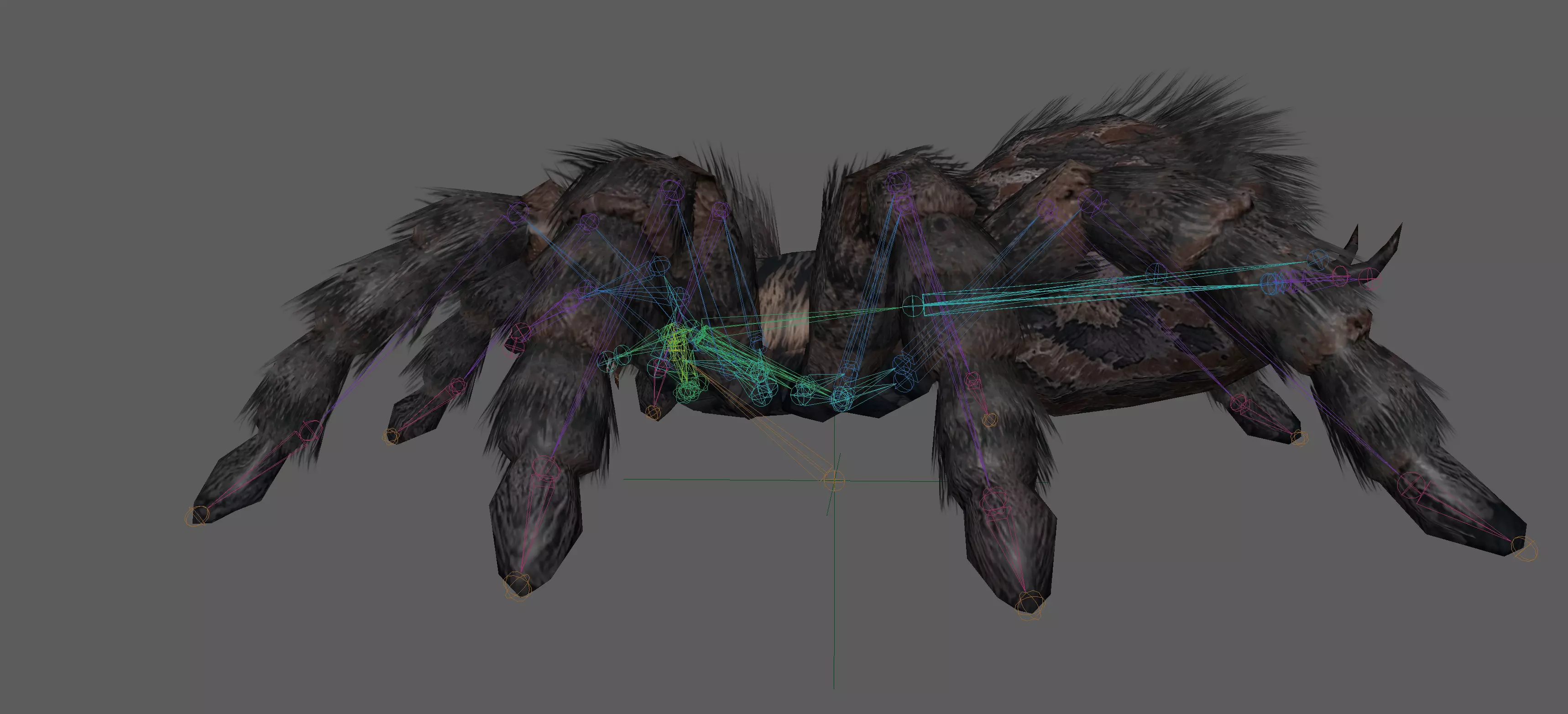 Spider Tarantula Low-poly 3D model_10