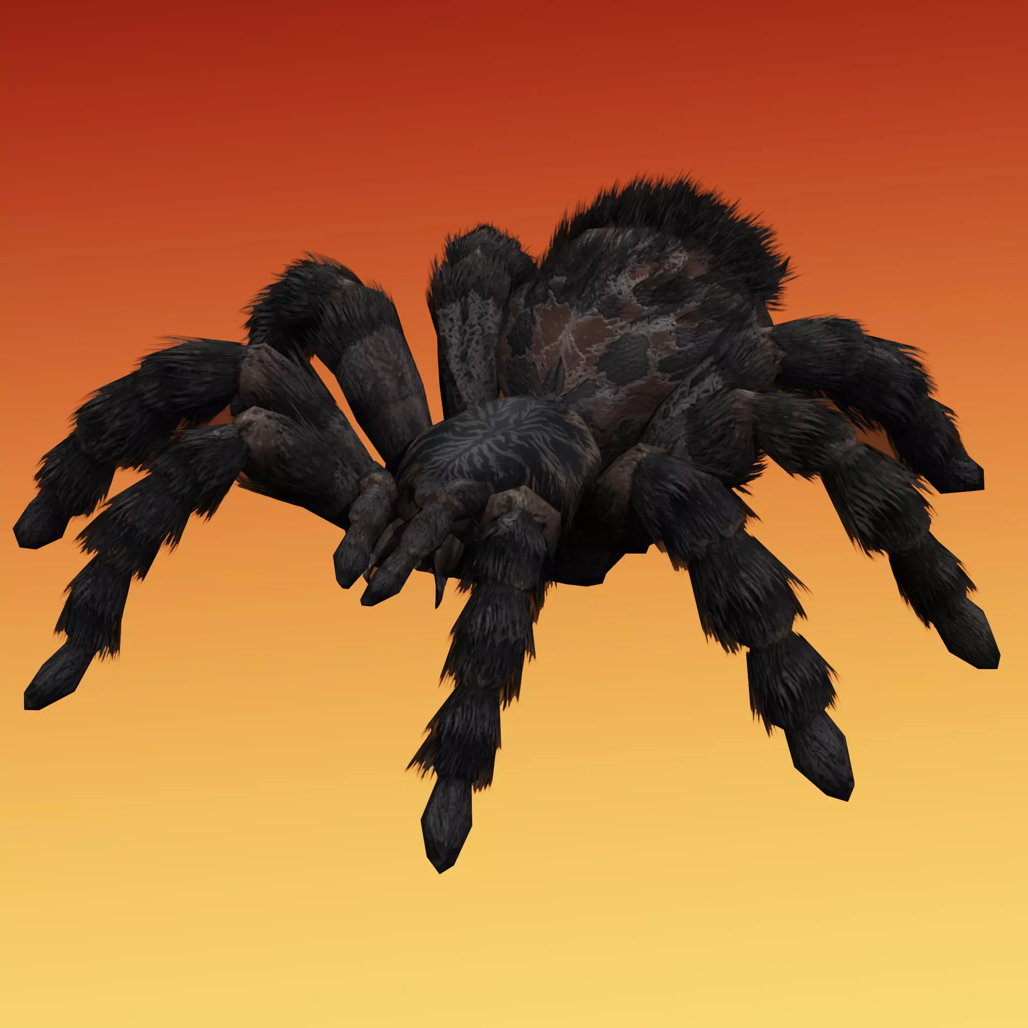 Spider Tarantula Low-poly 3D model_1