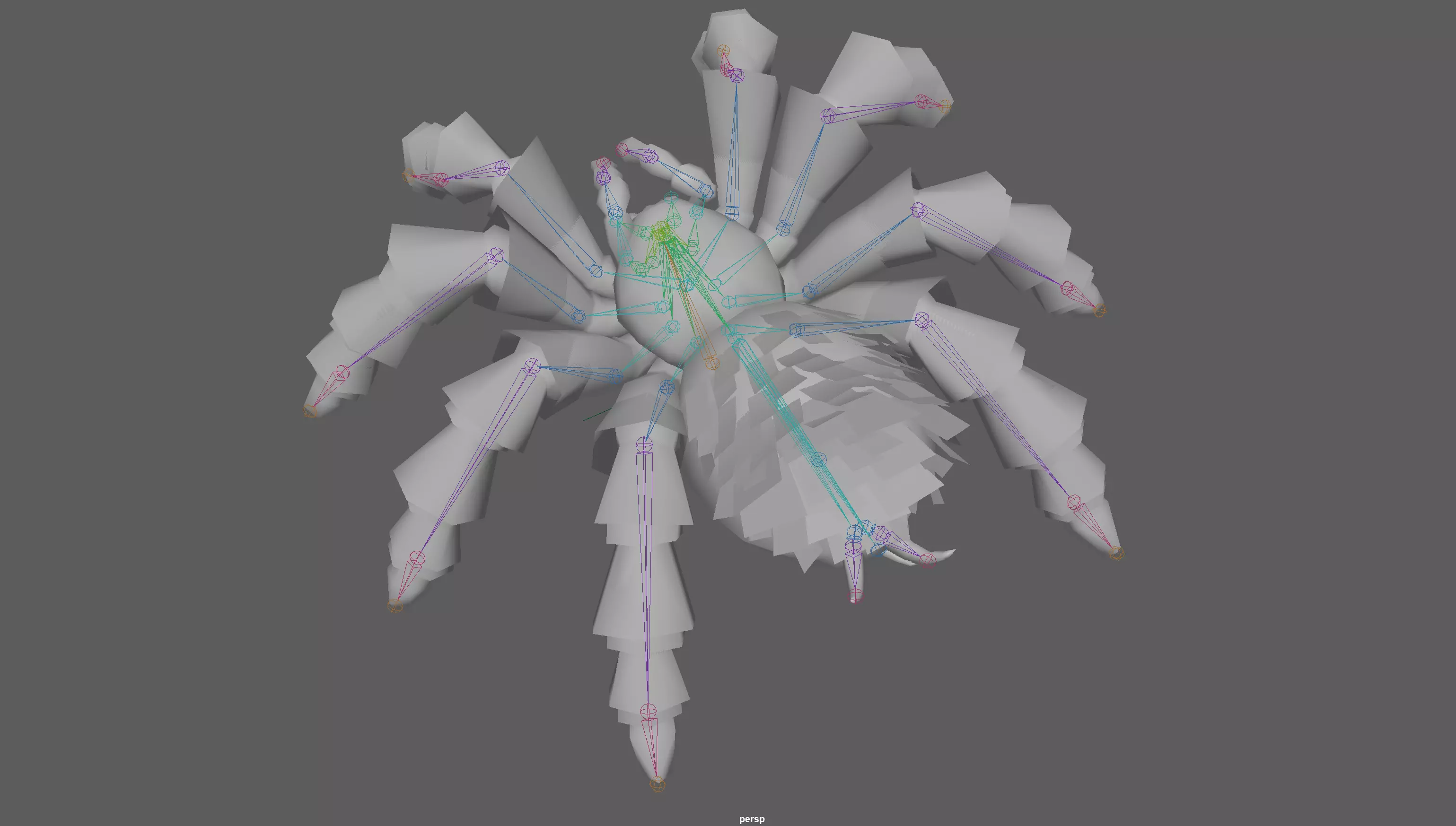 Spider Tarantula Low-poly 3D model_11