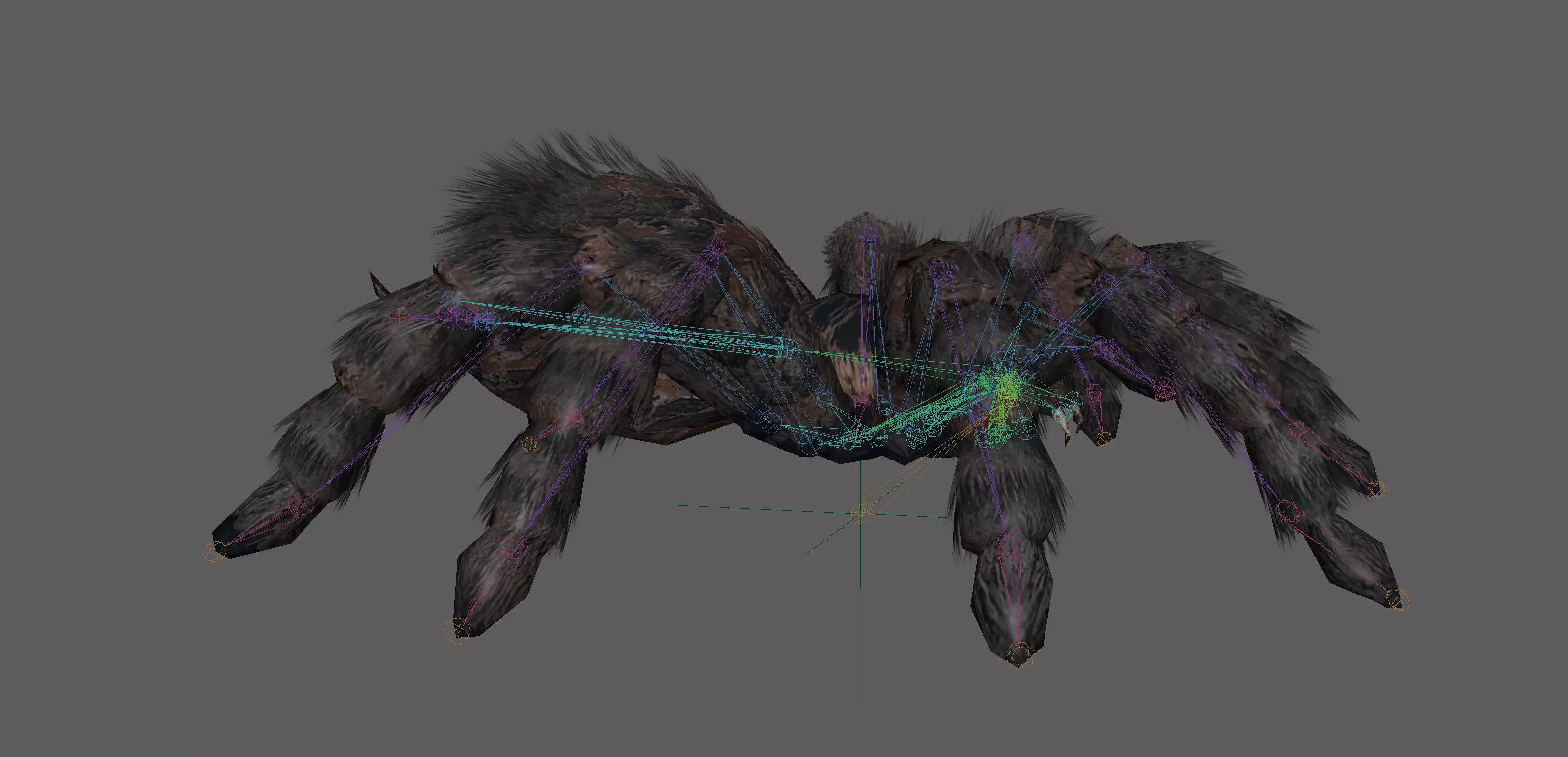 Spider Tarantula Low-poly 3D model_13