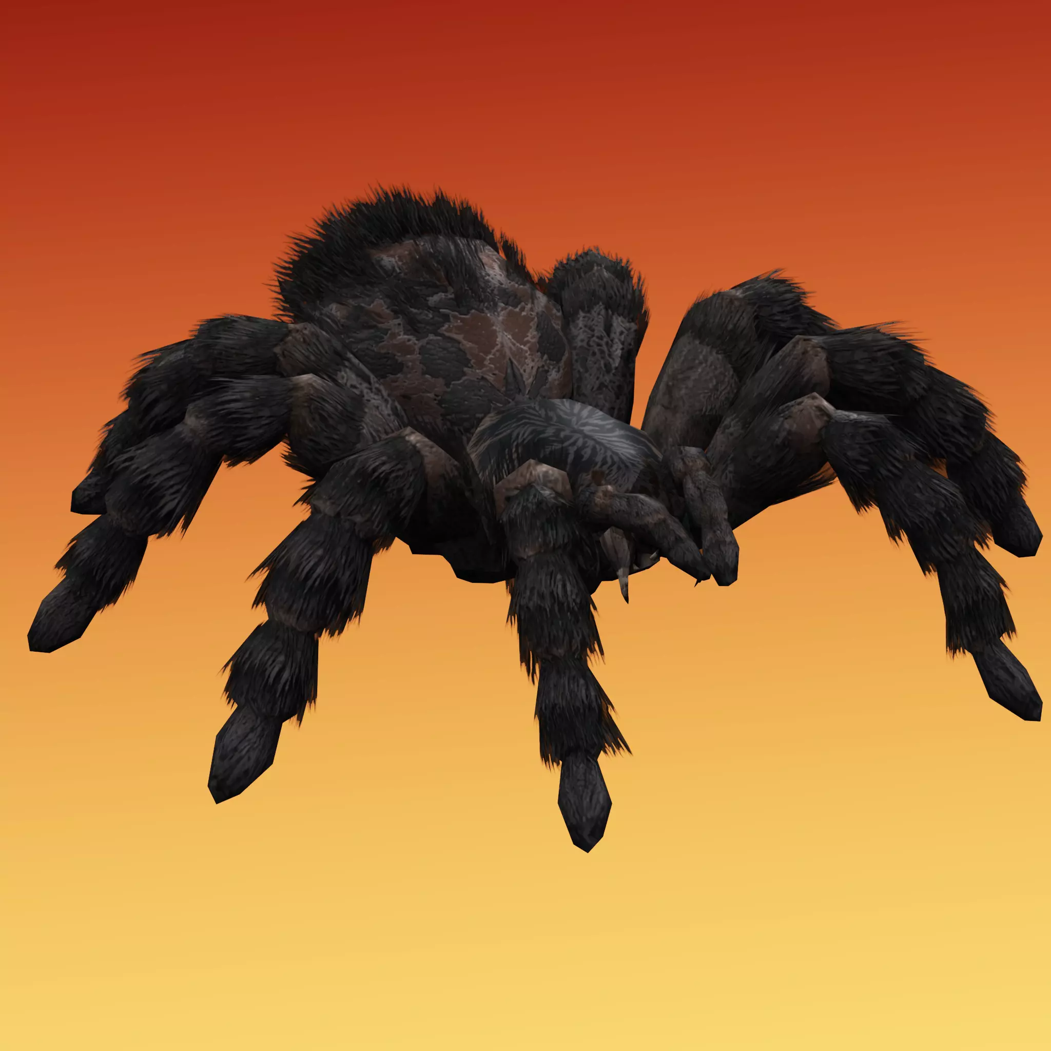 Spider Tarantula Low-poly 3D model_0