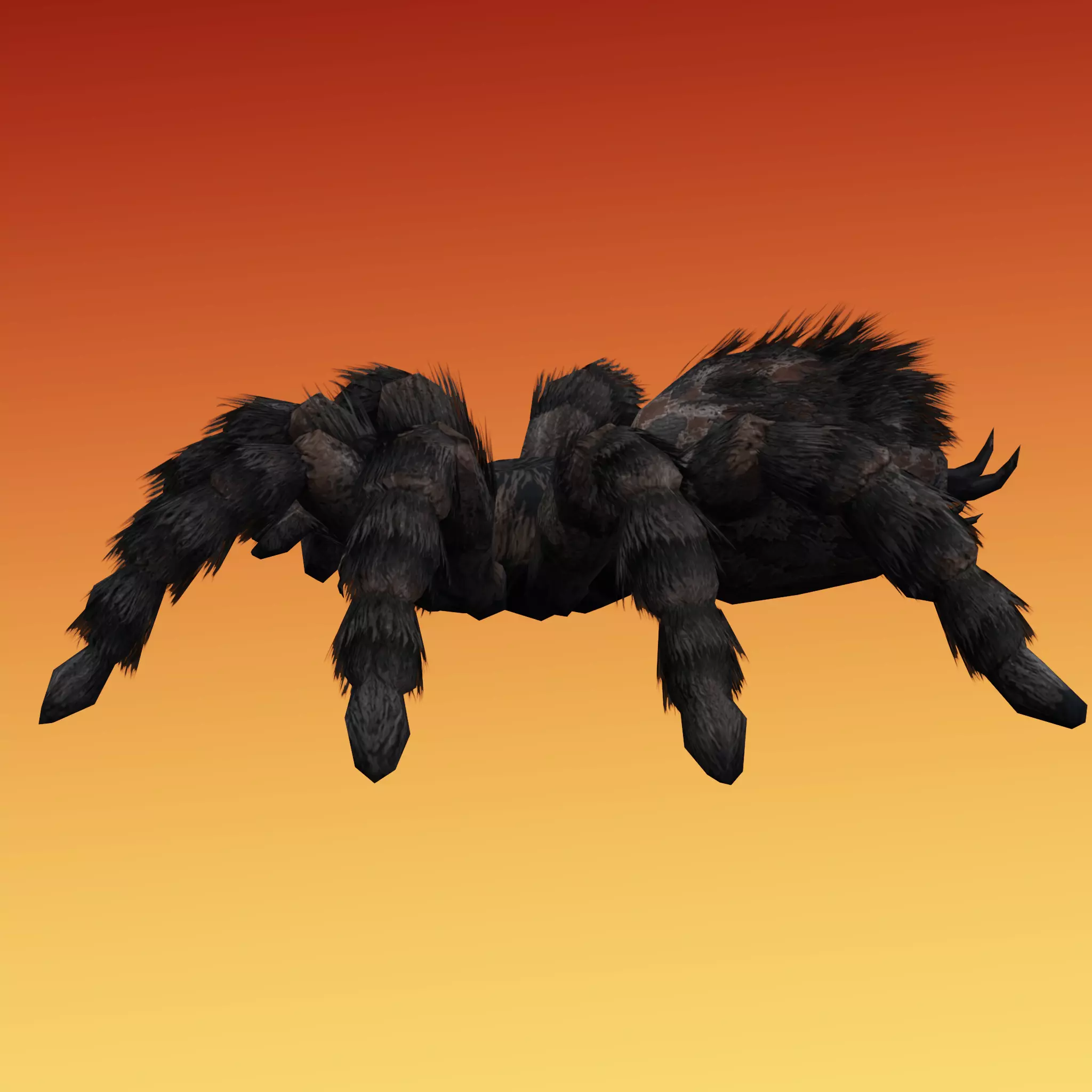 Spider Tarantula Low-poly 3D model_2