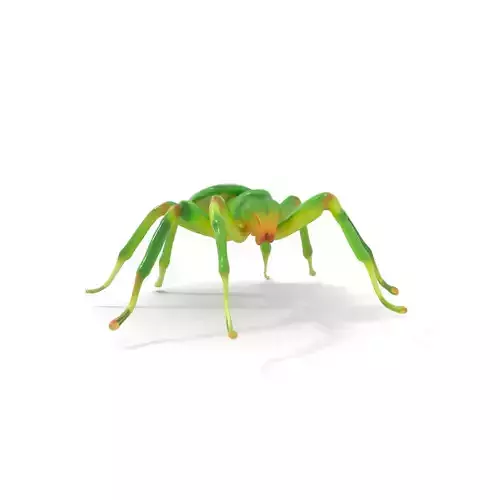 Vibrant Green Spider model pack Low-poly 3D model
