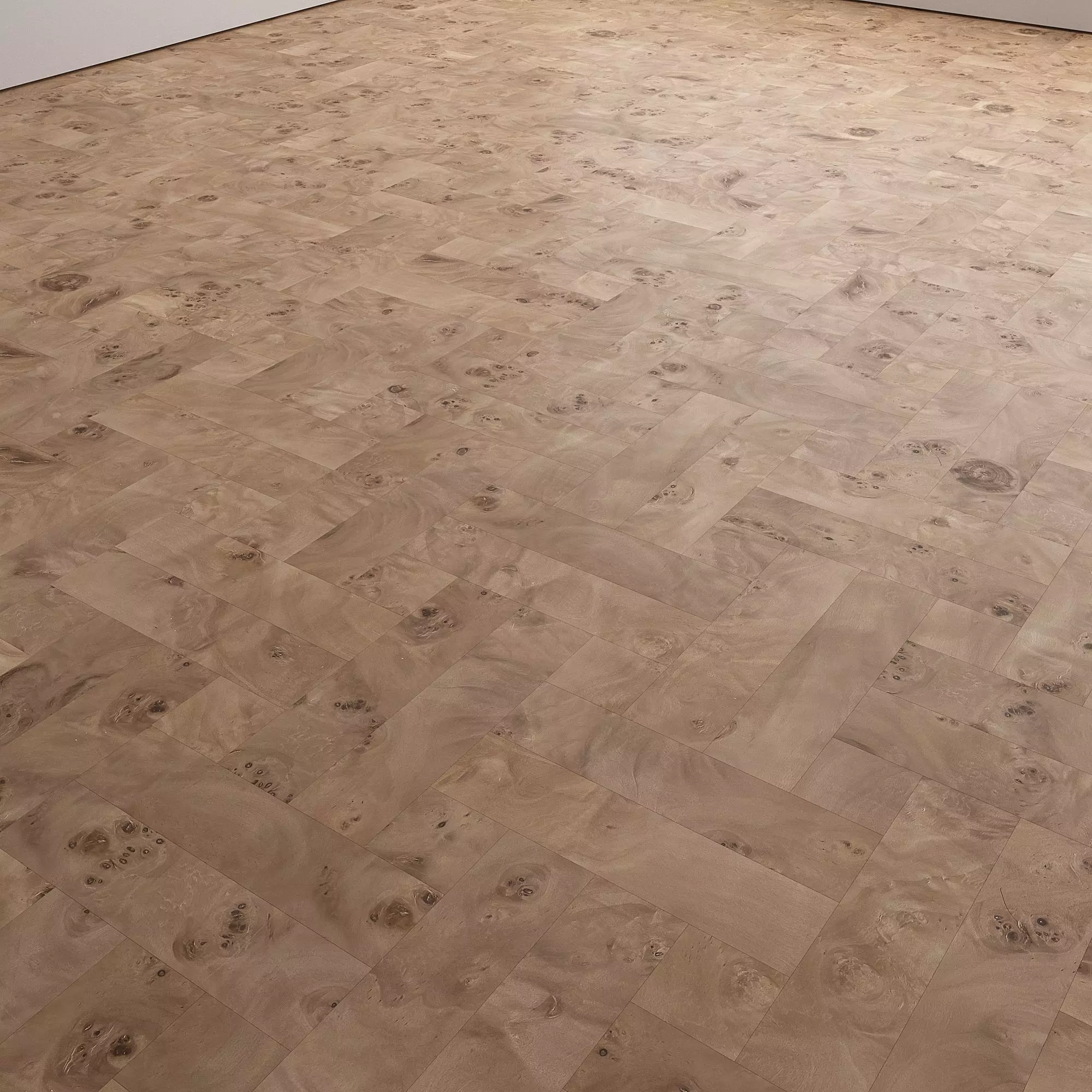 Birch Burl wood flooring and parquet Set 02 Texture_18