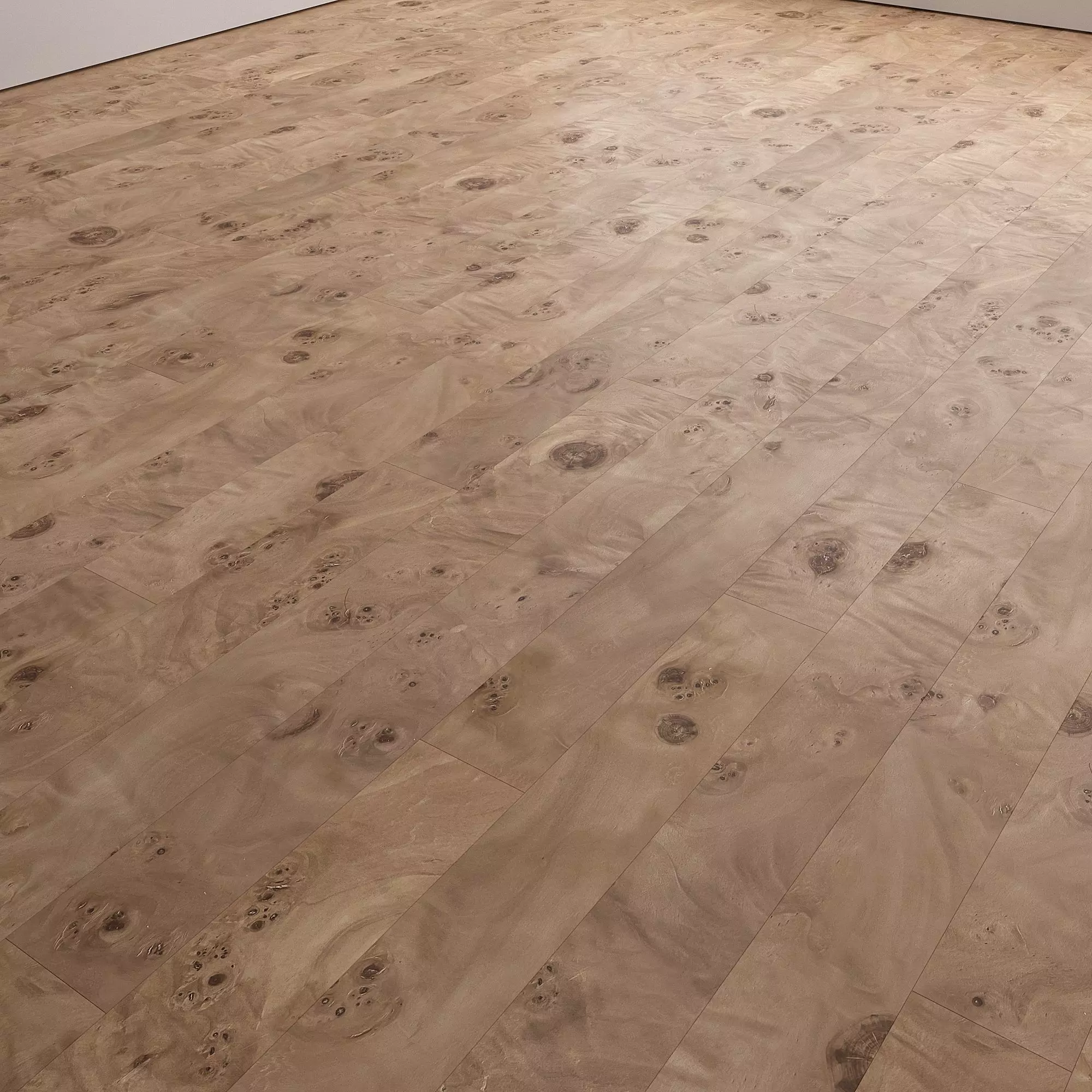 Birch Burl wood flooring and parquet Set 02 Texture_12