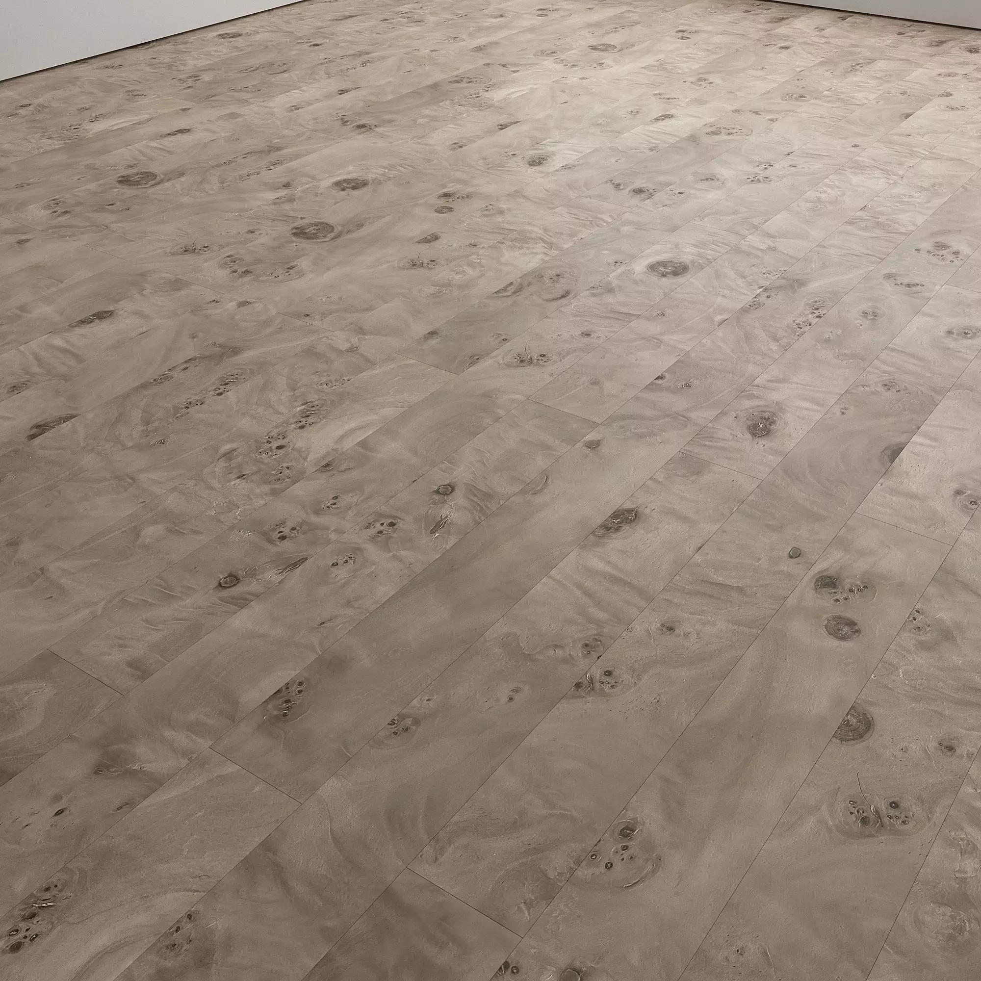 Birch Burl wood flooring and parquet Set 02 Texture_15