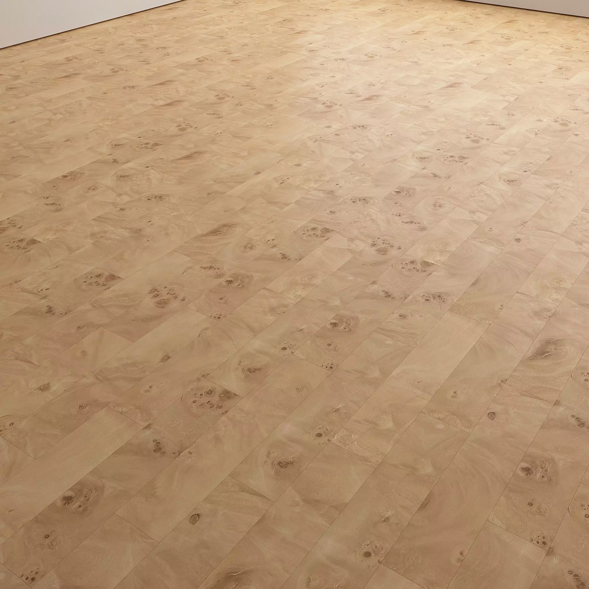 Birch Burl wood flooring and parquet Set 02 Texture_14