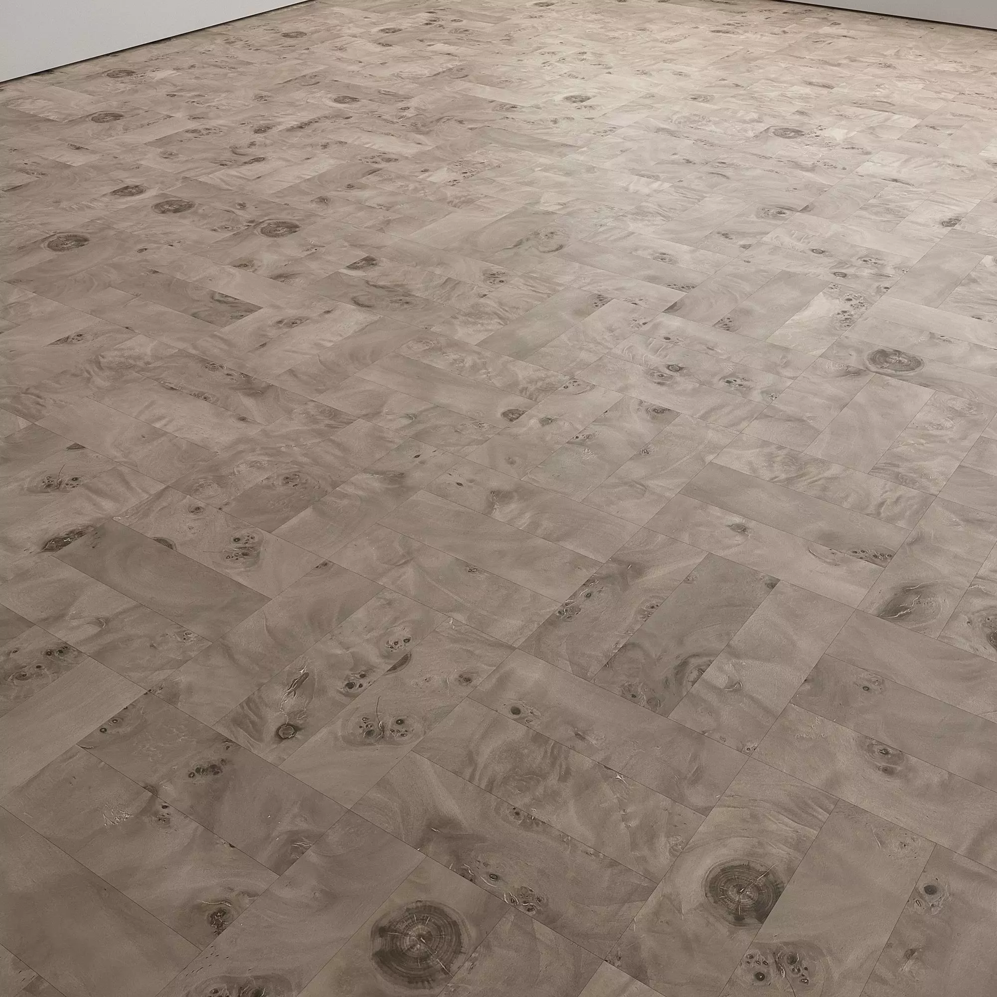 Birch Burl wood flooring and parquet Set 02 Texture_20