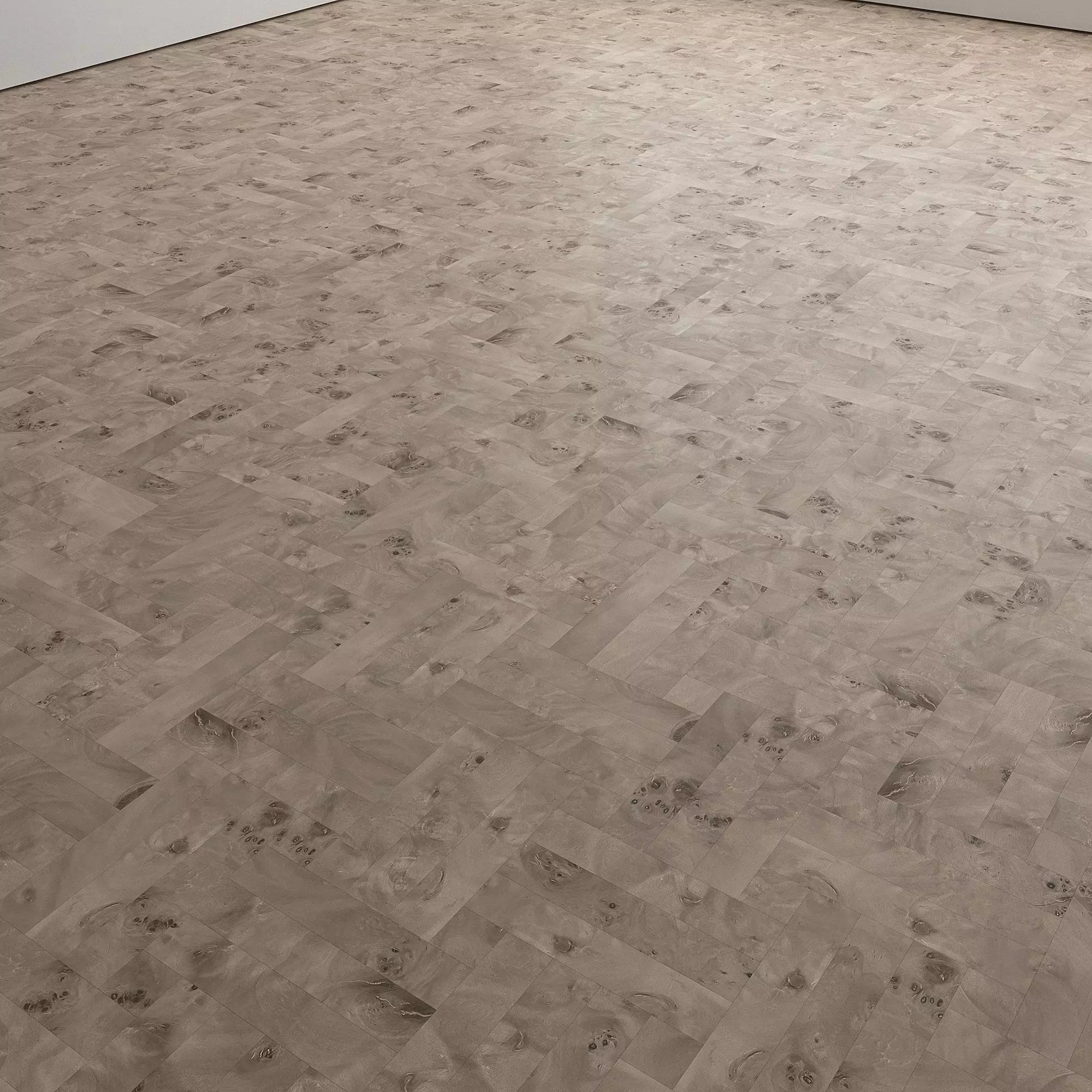 Birch Burl wood flooring and parquet Set 02 Texture_19