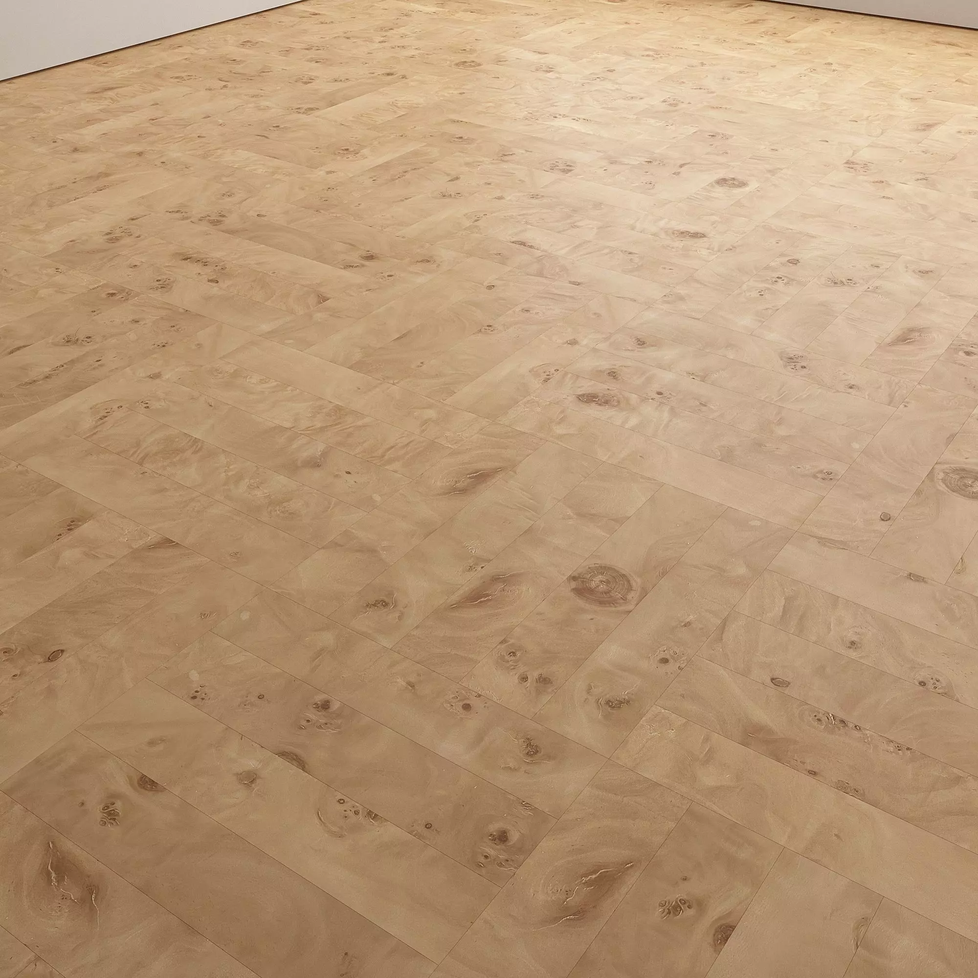 Birch Burl wood flooring and parquet Set 02 Texture_17