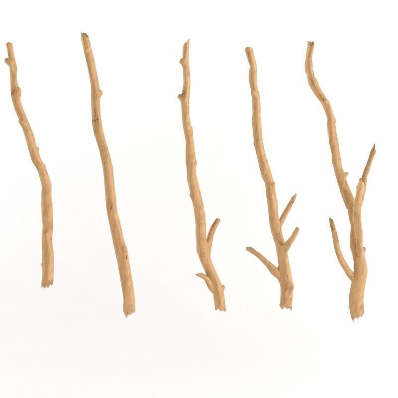 Wooden Stick Branch Bat Rod Collection Game Asset Ready Low Poly Low-poly 3D model_4