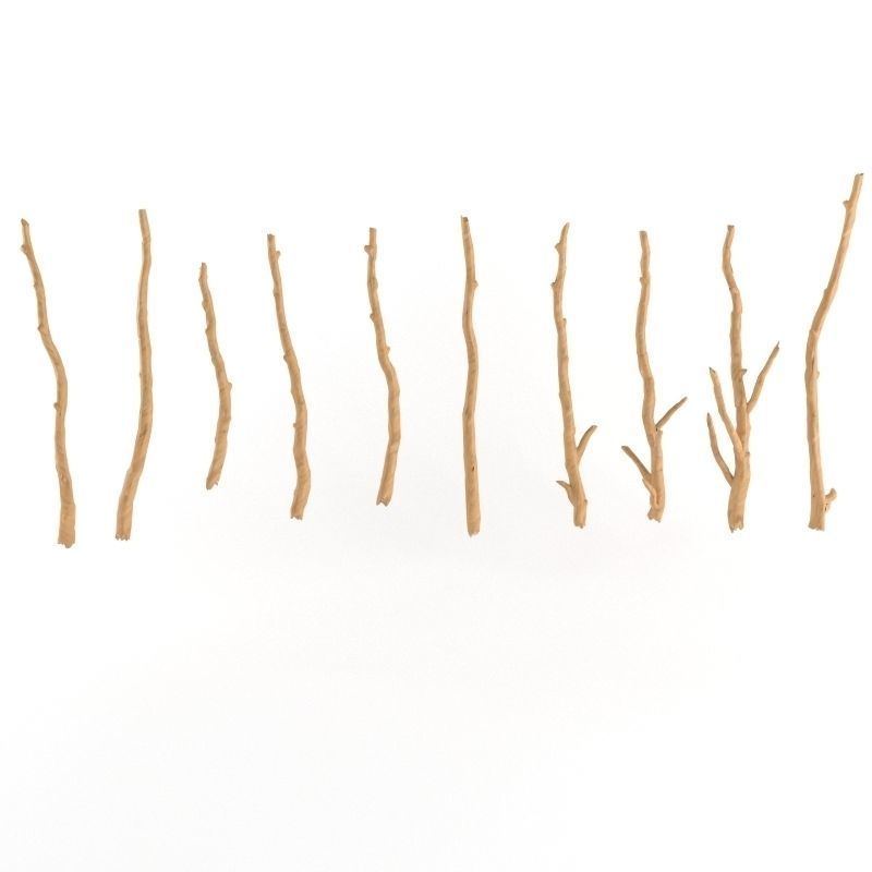 Wooden Stick Branch Bat Rod Collection Game Asset Ready Low Poly Low-poly 3D model_2