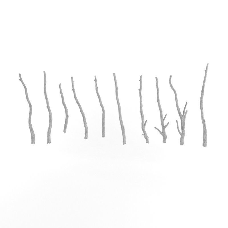 Wooden Stick Branch Bat Rod Collection Game Asset Ready Low Poly Low-poly 3D model_8