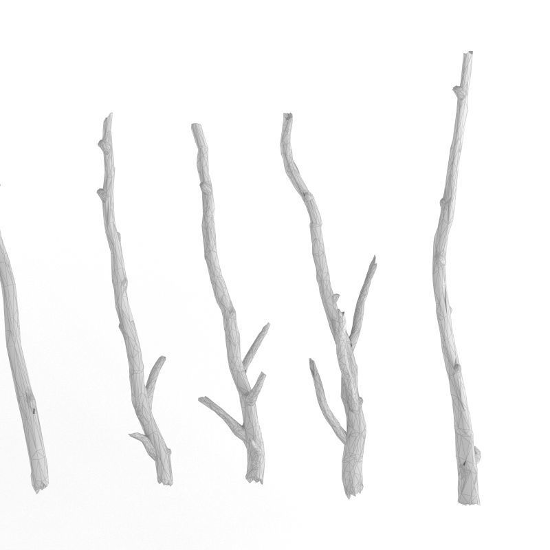 Wooden Stick Branch Bat Rod Collection Game Asset Ready Low Poly Low-poly 3D model_6