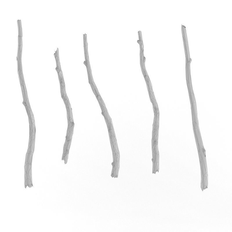 Wooden Stick Branch Bat Rod Collection Game Asset Ready Low Poly Low-poly 3D model_7