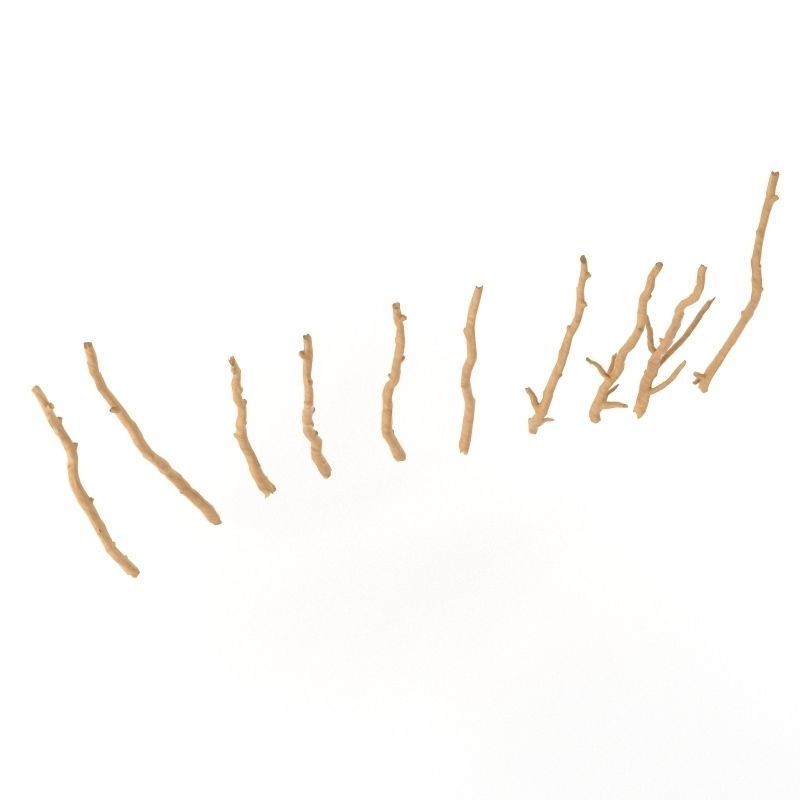 Wooden Stick Branch Bat Rod Collection Game Asset Ready Low Poly Low-poly 3D model_3