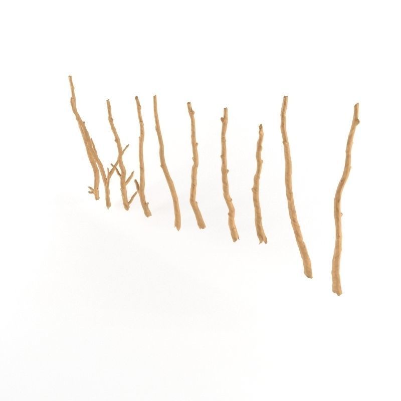 Wooden Stick Branch Bat Rod Collection Game Asset Ready Low Poly Low-poly 3D model_1