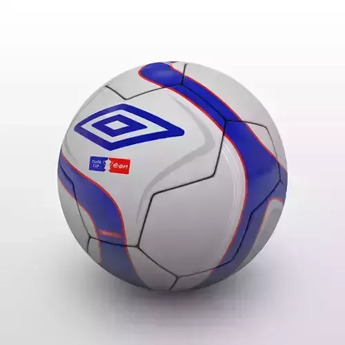 FA Cup Ball 2010 3D model
