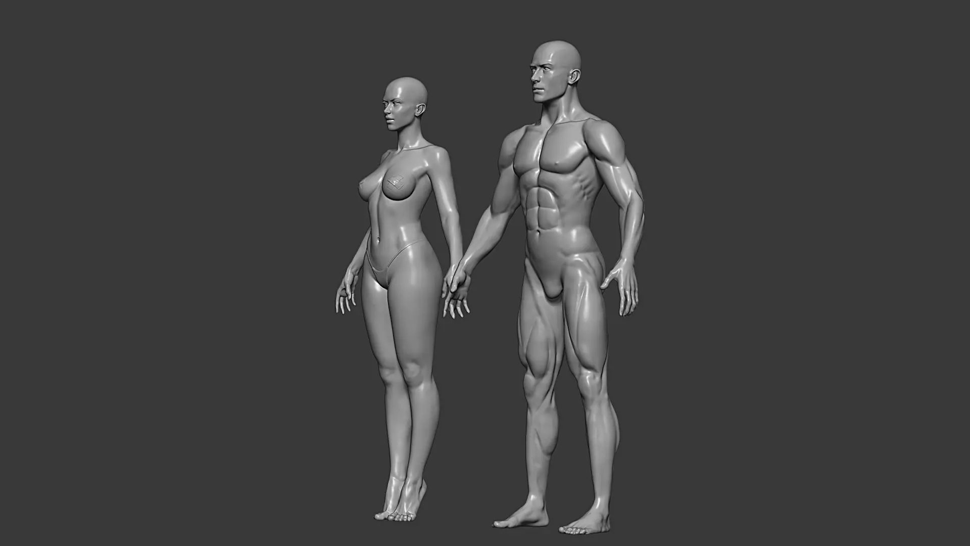 Realistic Male and Female Base Mesh Highpoly Sculpt 3D model_21