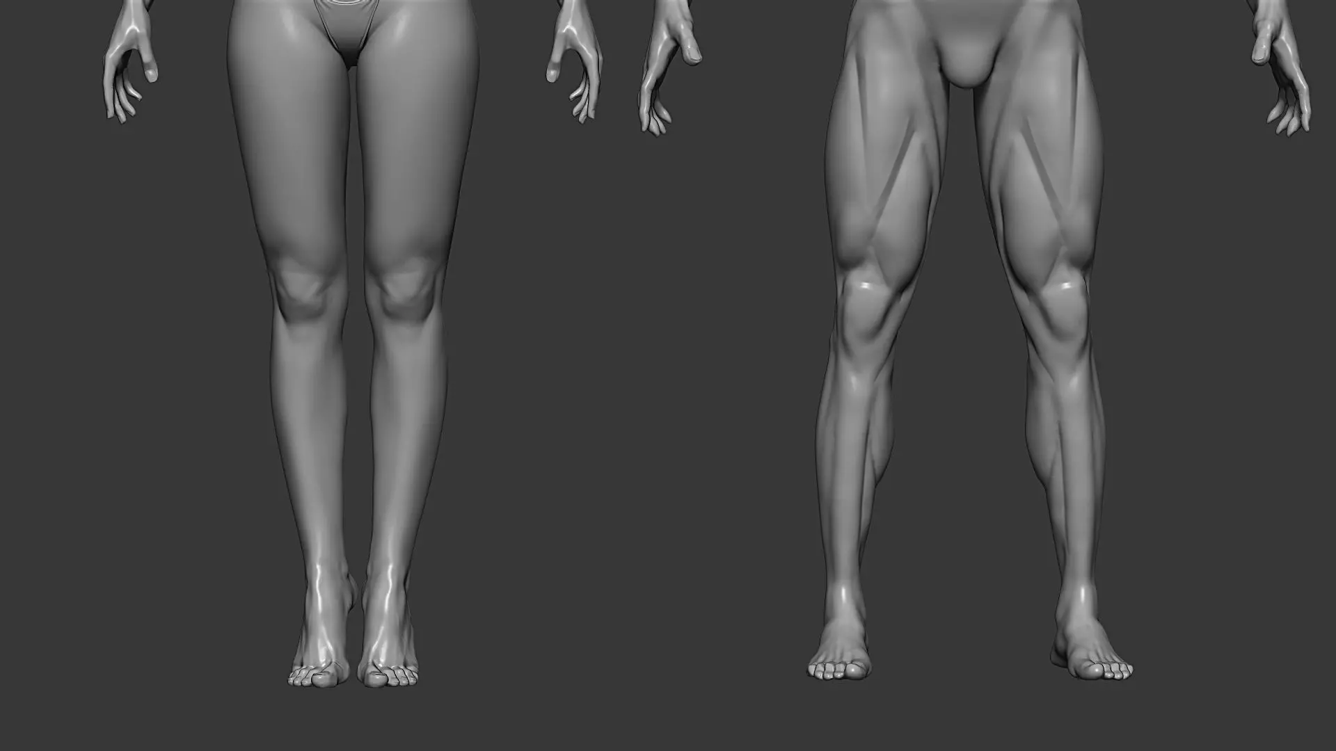 Realistic Male and Female Base Mesh Highpoly Sculpt 3D model_6