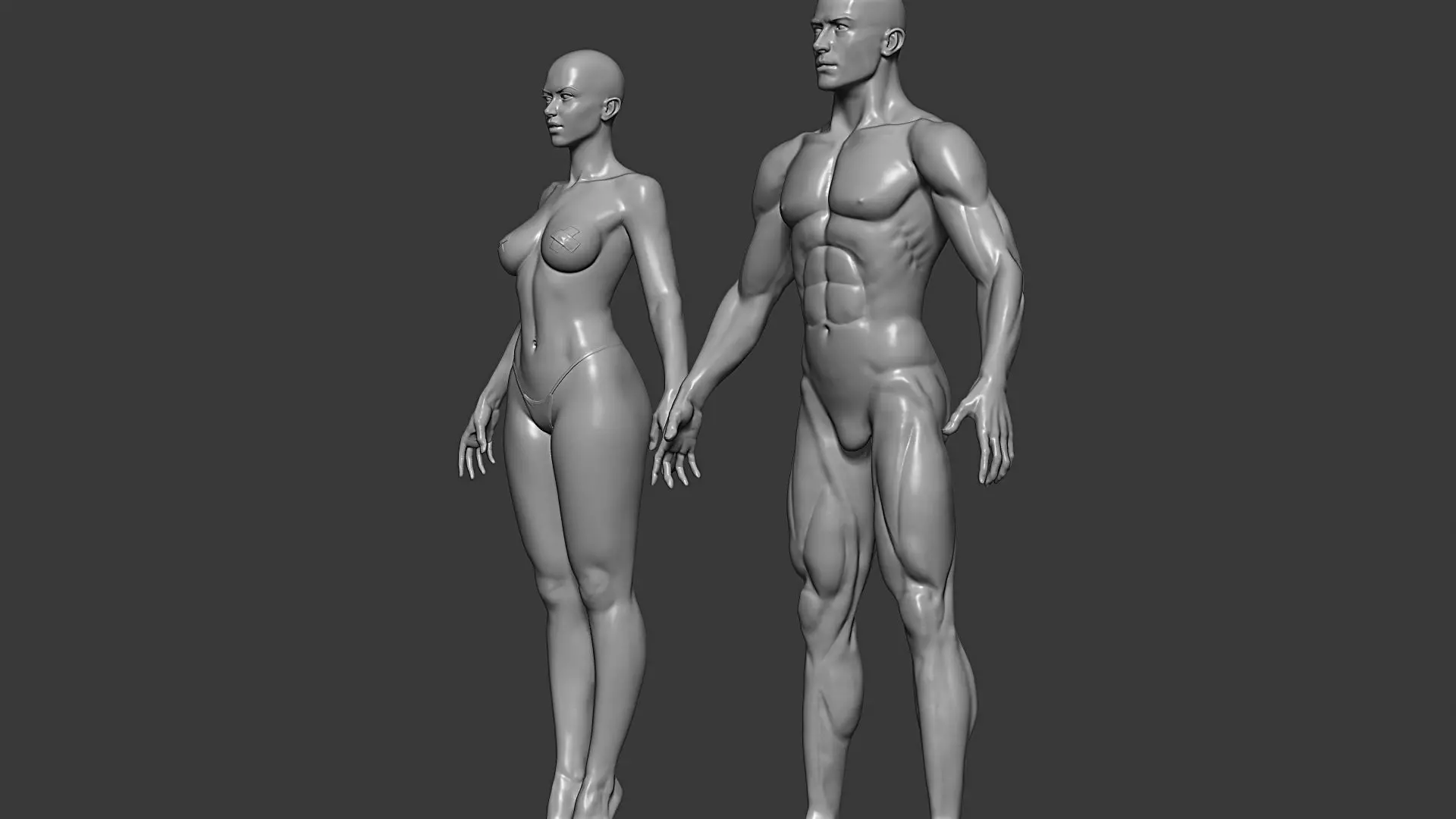 Realistic Male and Female Base Mesh Highpoly Sculpt 3D model_20