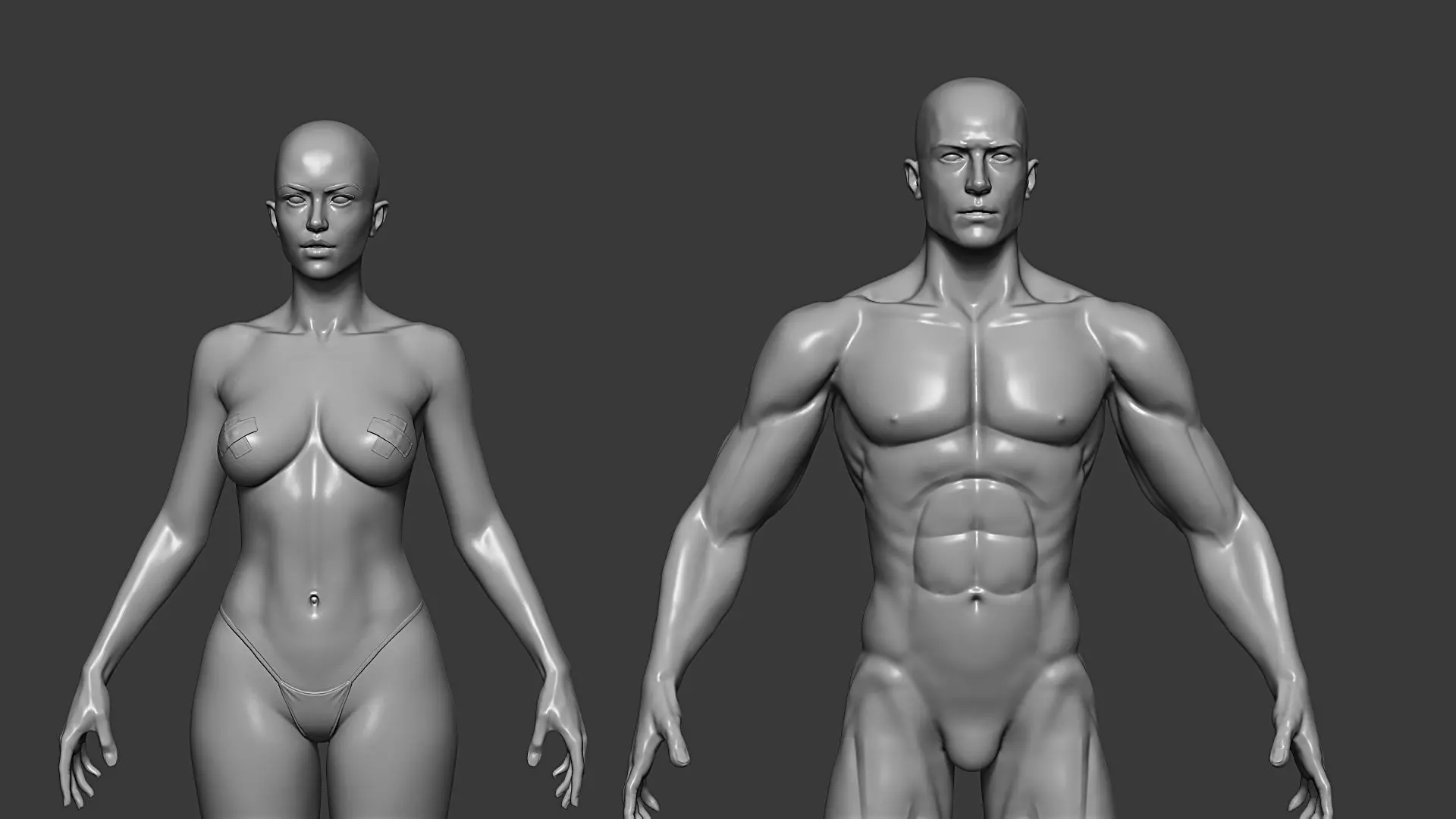 Realistic Male and Female Base Mesh Highpoly Sculpt 3D model_2