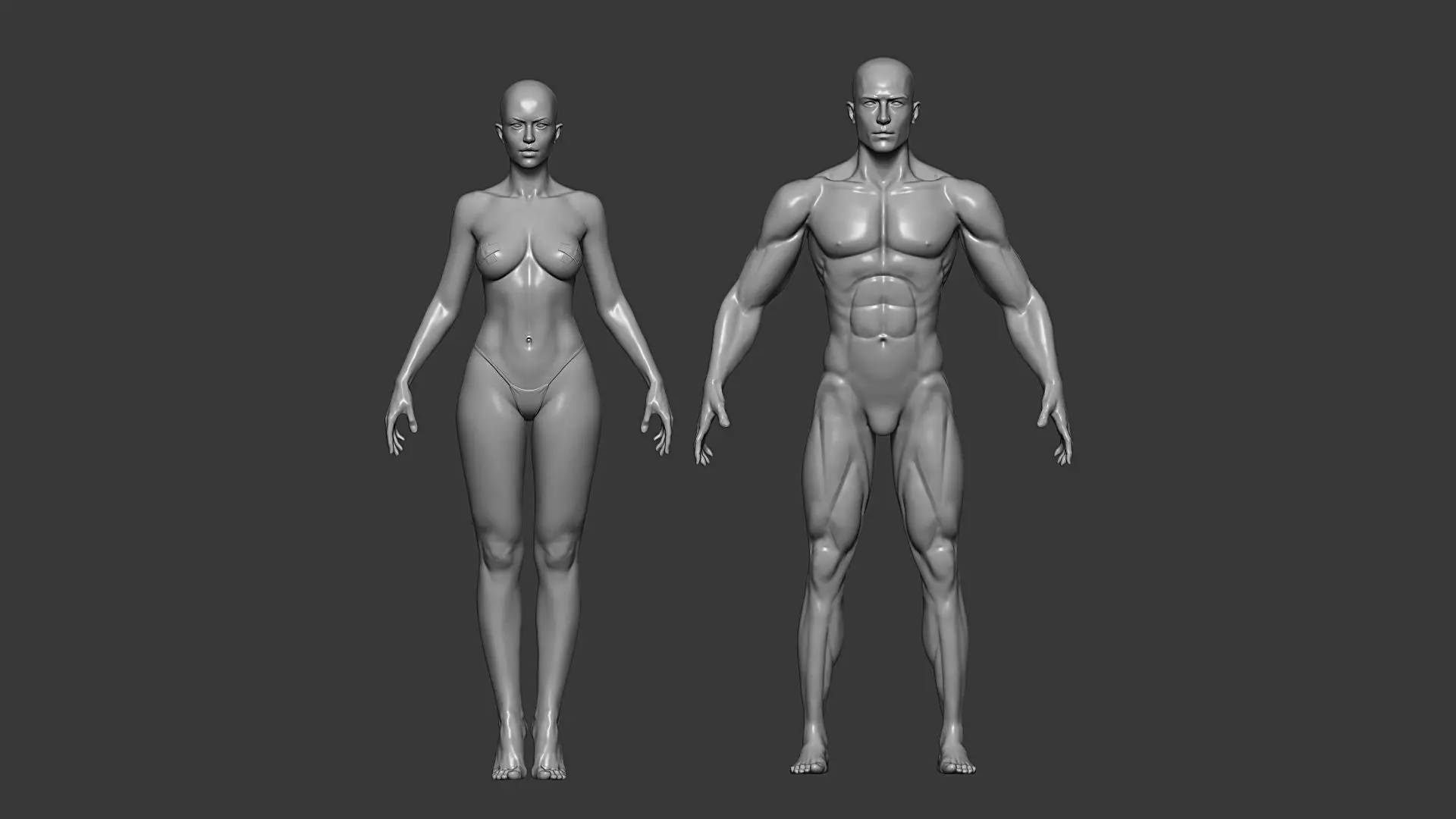 Realistic Male and Female Base Mesh Highpoly Sculpt 3D model_12