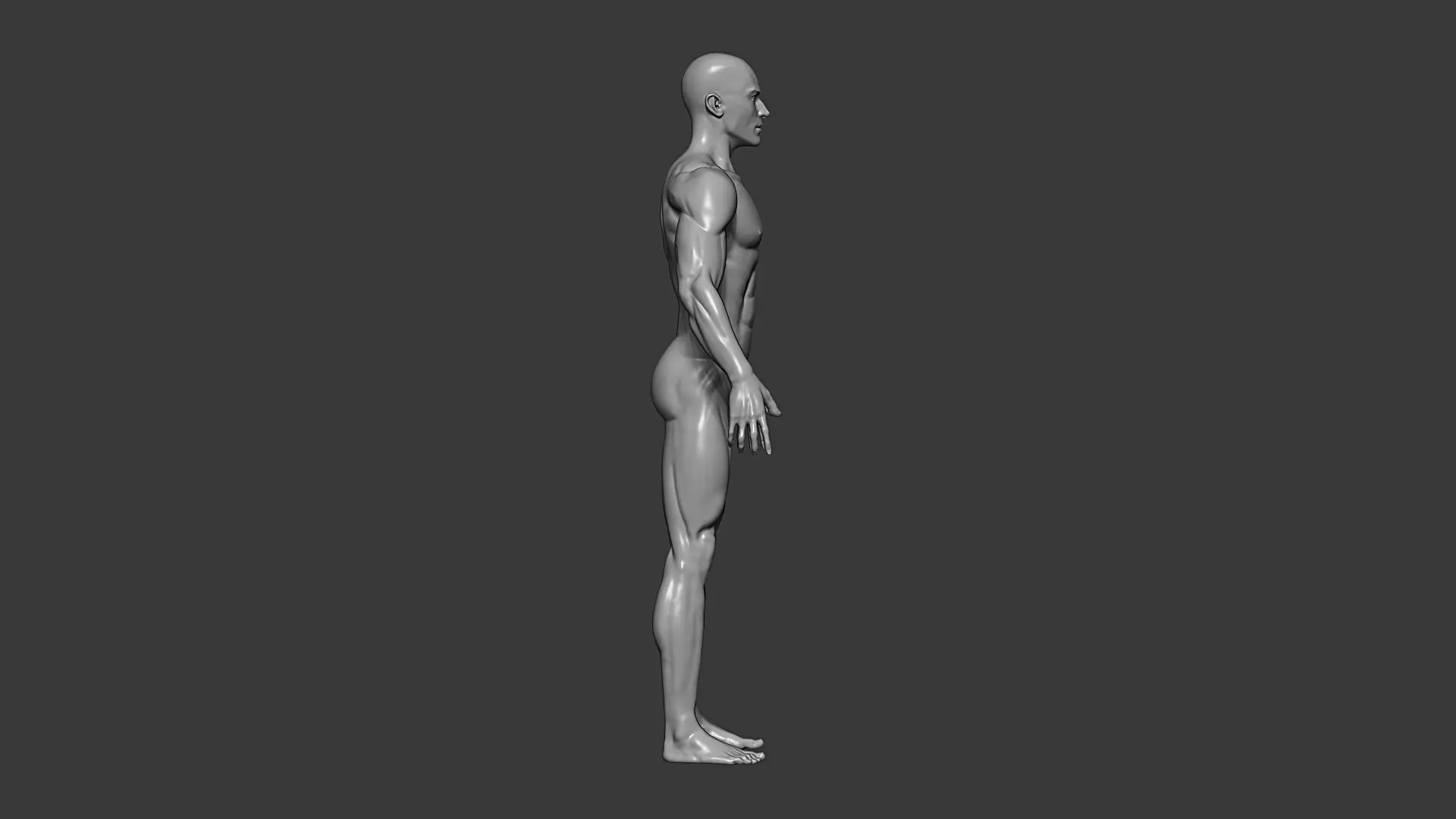 Realistic Male and Female Base Mesh Highpoly Sculpt 3D model_9