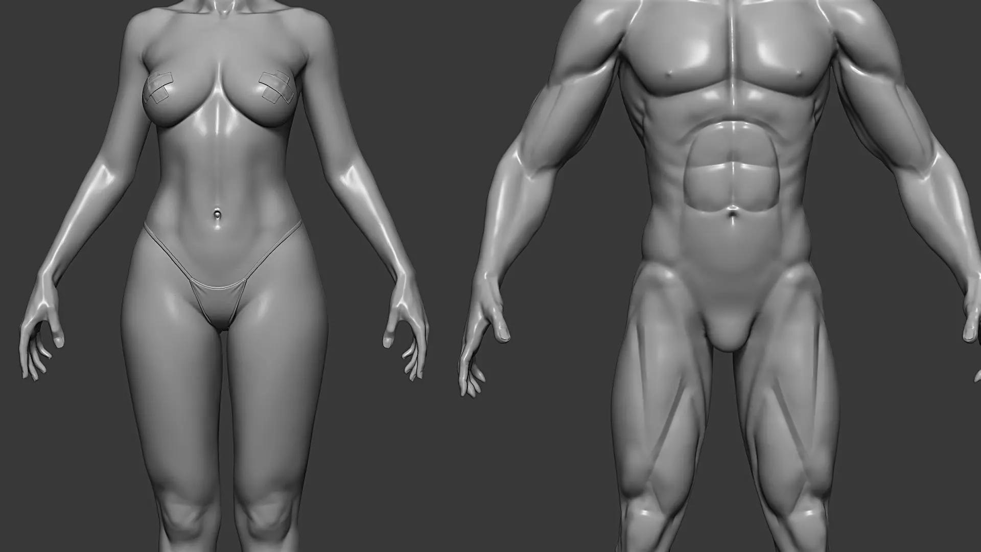 Realistic Male and Female Base Mesh Highpoly Sculpt 3D model_5