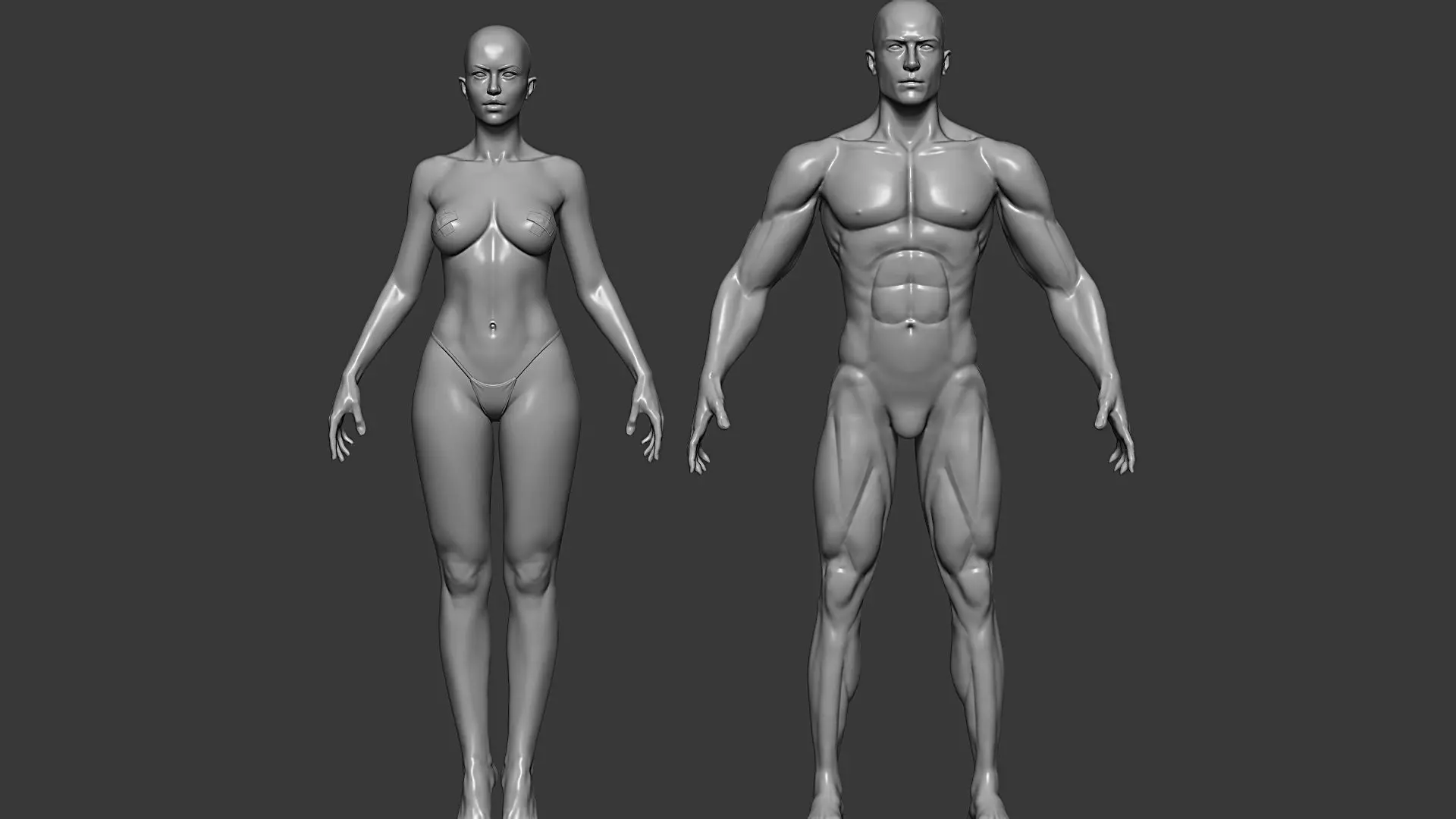Realistic Male and Female Base Mesh Highpoly Sculpt 3D model_1