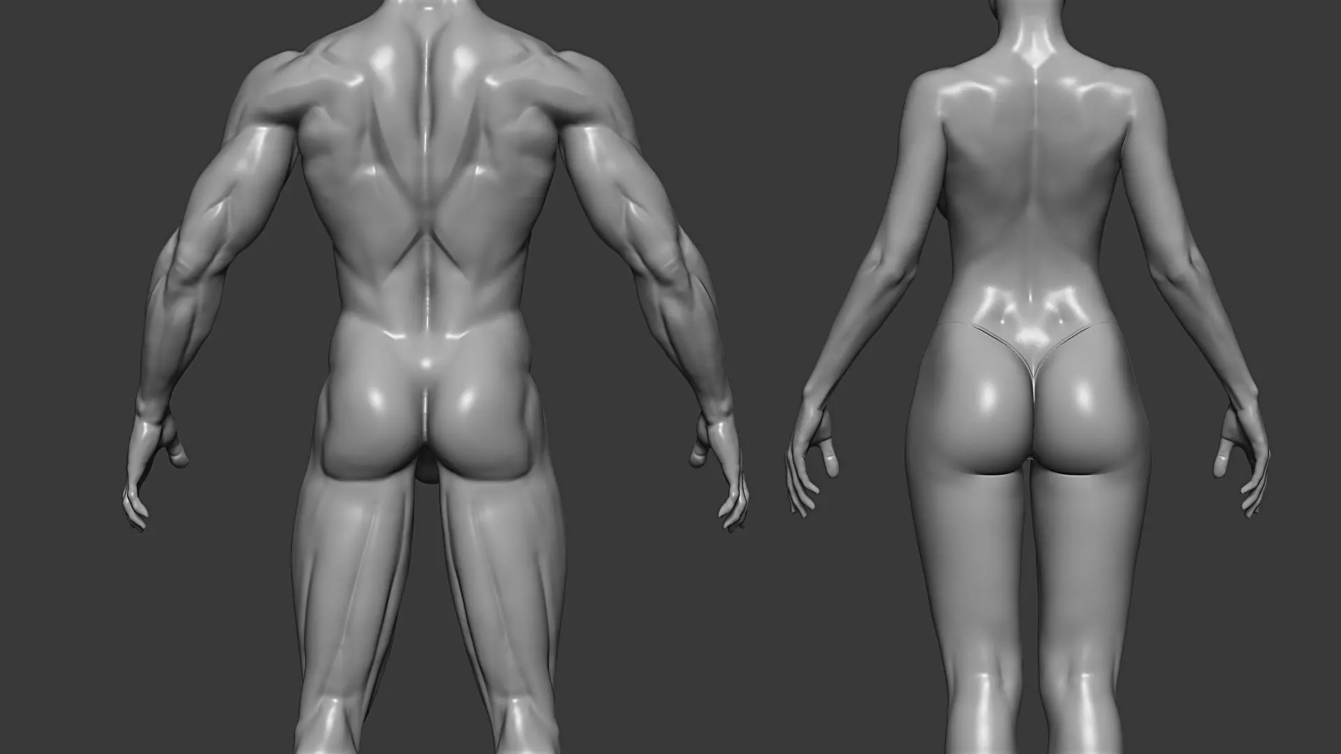Realistic Male and Female Base Mesh Highpoly Sculpt 3D model_4