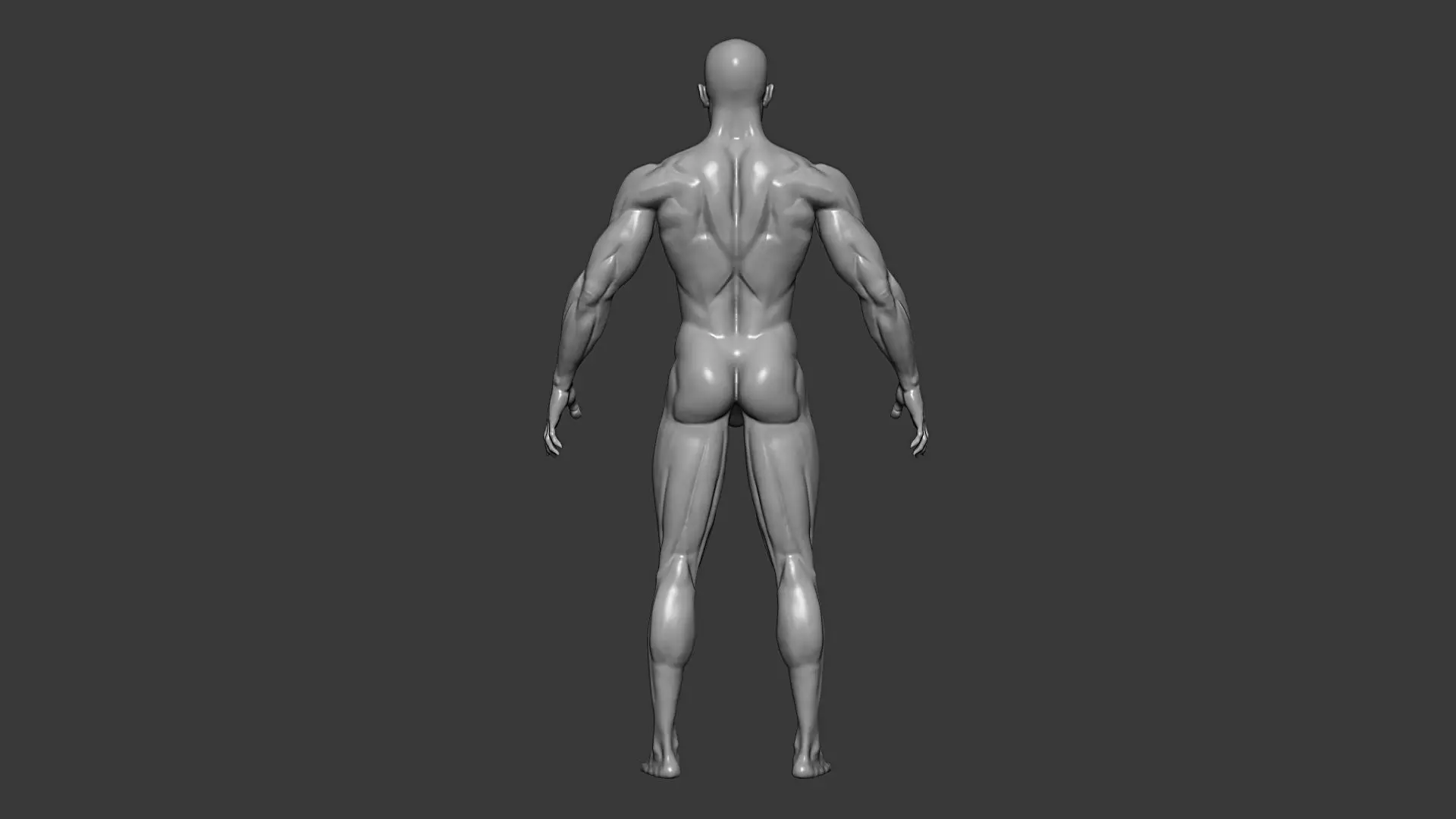 Realistic Male and Female Base Mesh Highpoly Sculpt 3D model_10