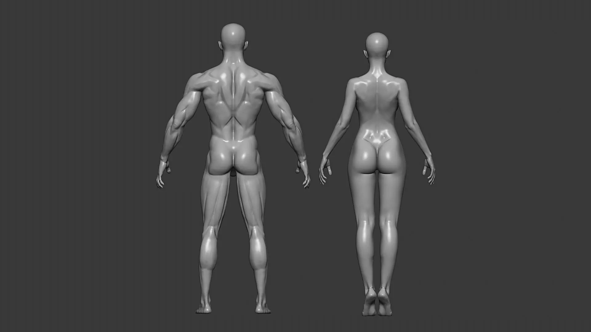 Realistic Male and Female Base Mesh Highpoly Sculpt 3D model_17