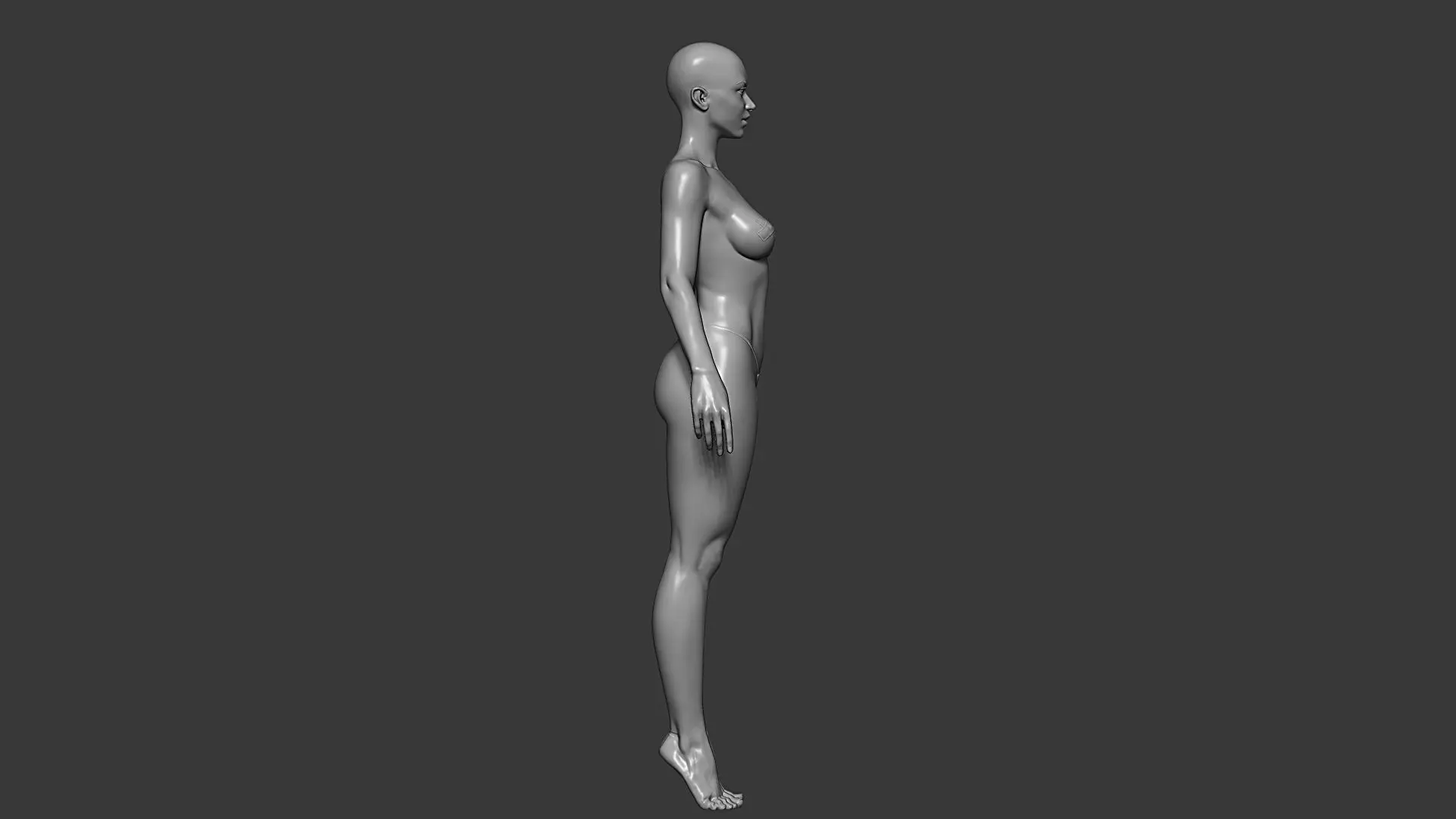 Realistic Male and Female Base Mesh Highpoly Sculpt 3D model_13