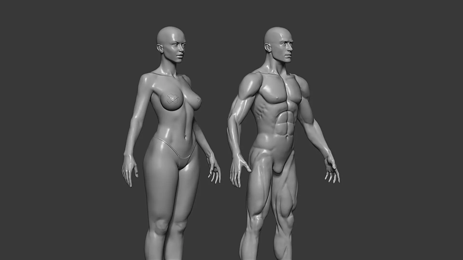 Realistic Male and Female Base Mesh Highpoly Sculpt 3D model_19