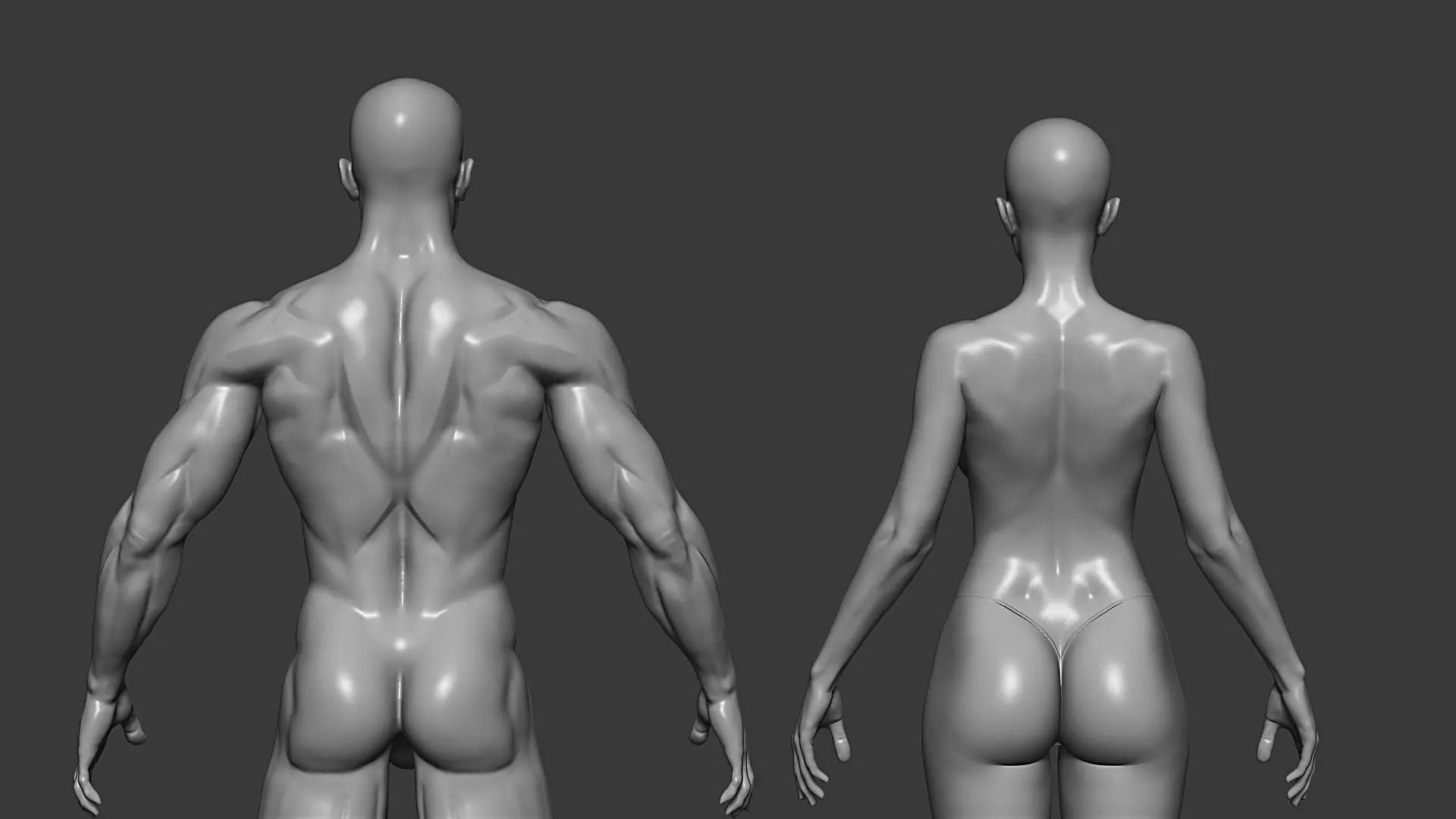 Realistic Male and Female Base Mesh Highpoly Sculpt 3D model_3