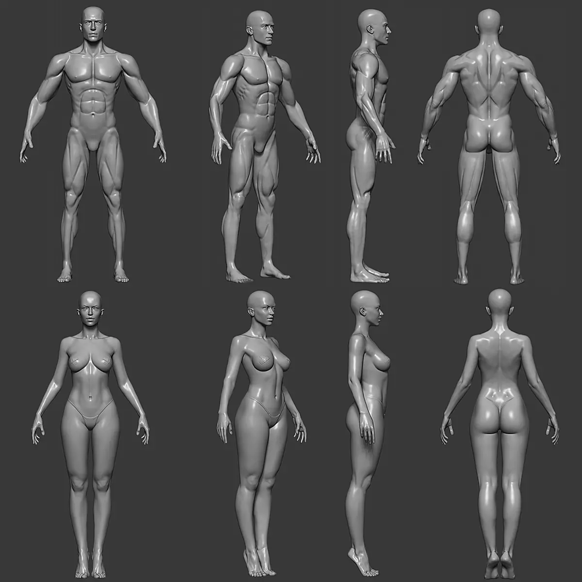 Realistic Male and Female Base Mesh Highpoly Sculpt 3D model_0