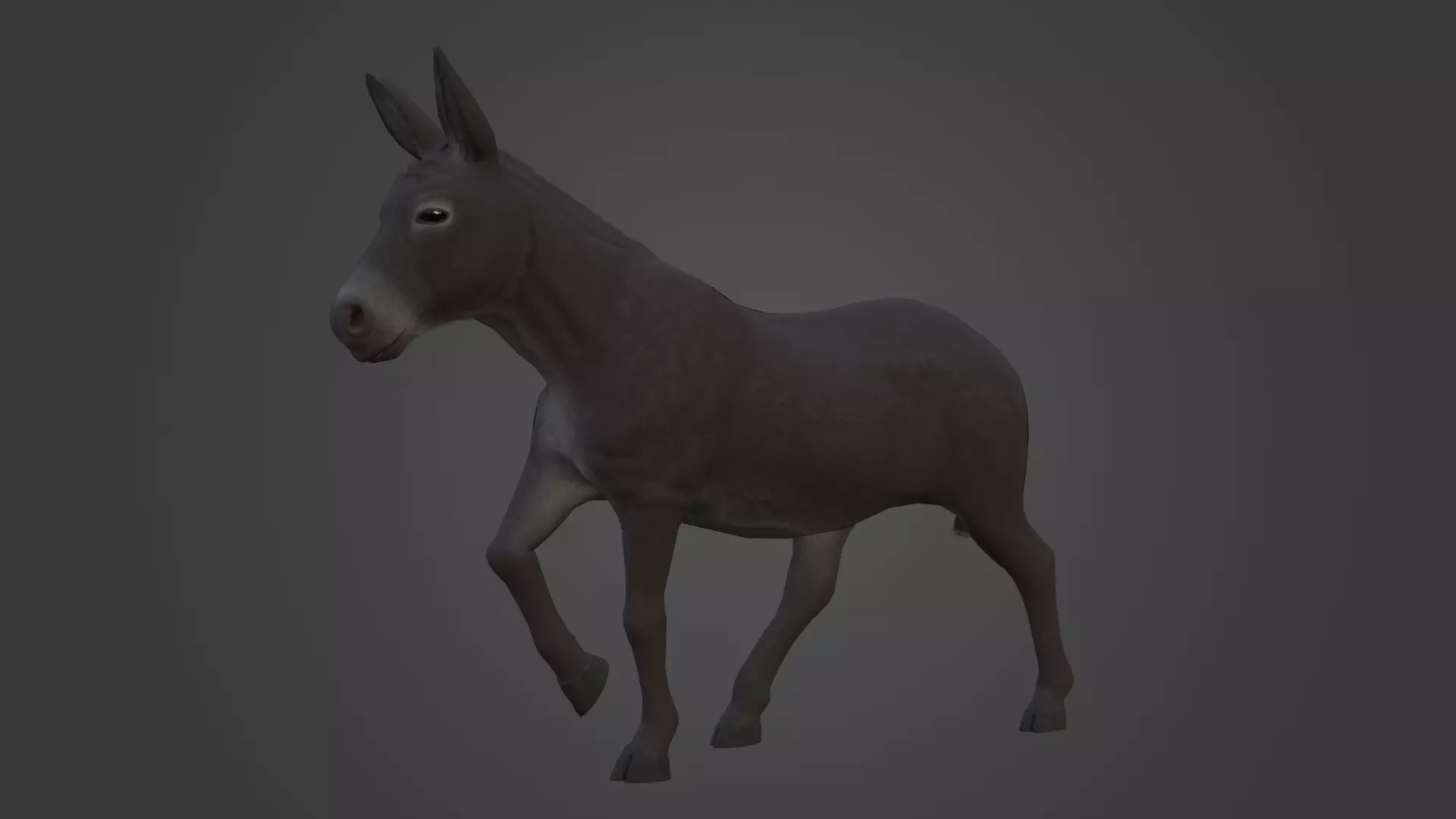 Horse and Donkey Low Poly Low-poly 3D model_17