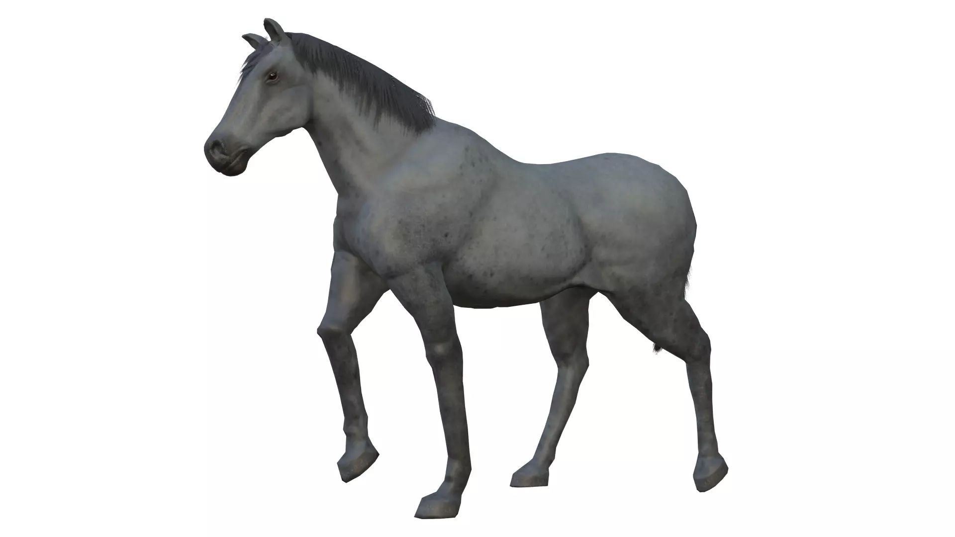 Horse and Donkey Low Poly Low-poly 3D model_5