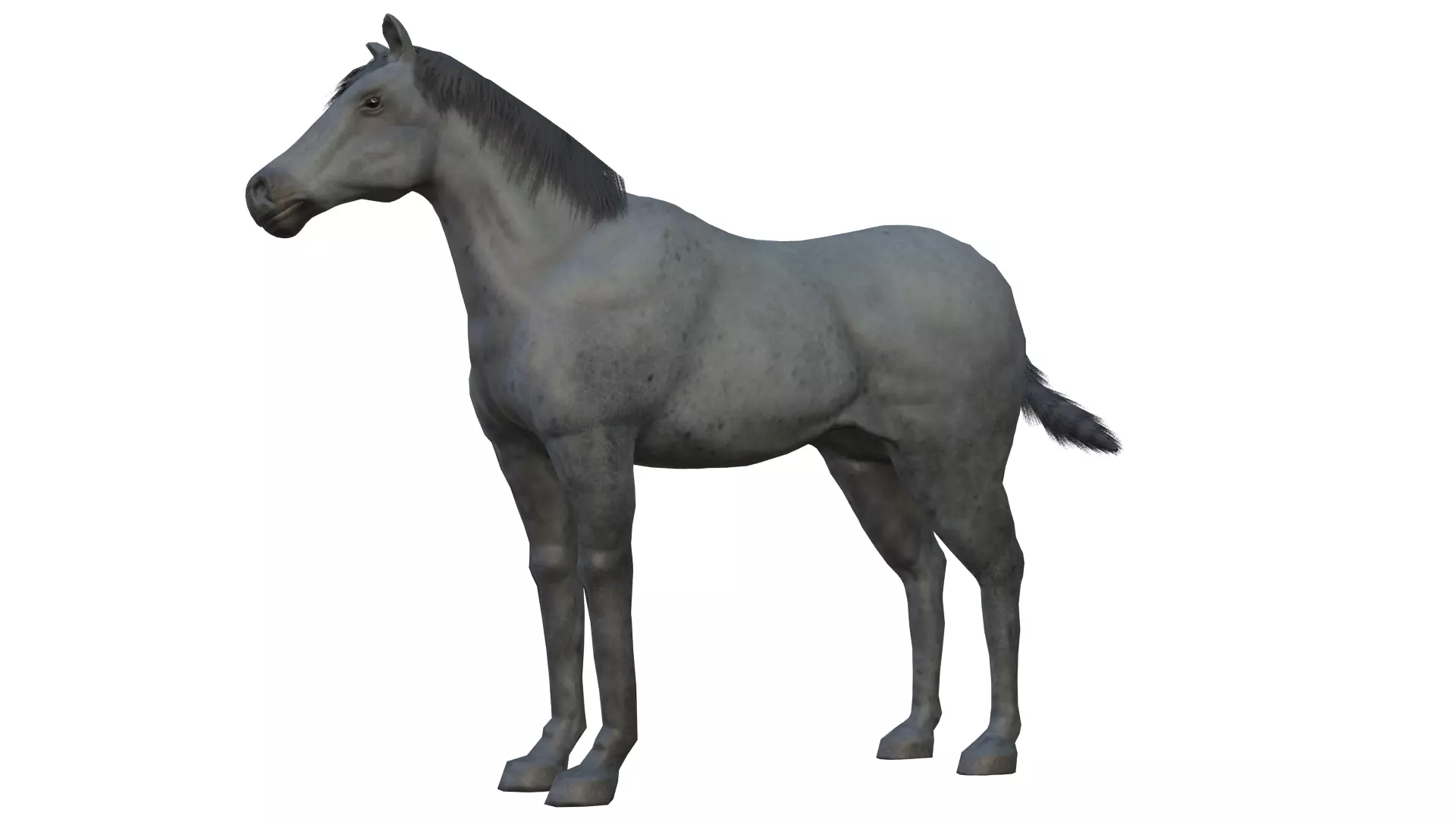 Horse and Donkey Low Poly Low-poly 3D model_3