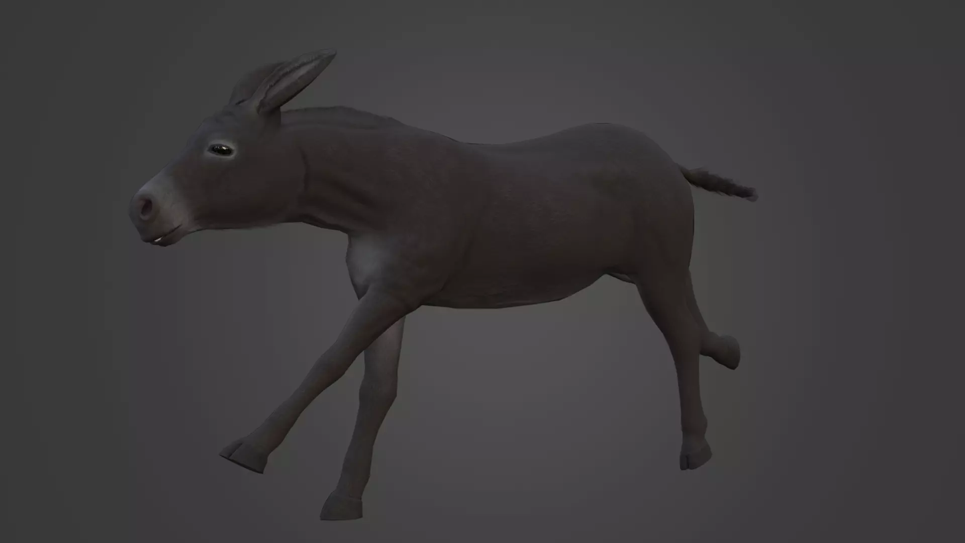 Horse and Donkey Low Poly Low-poly 3D model_11