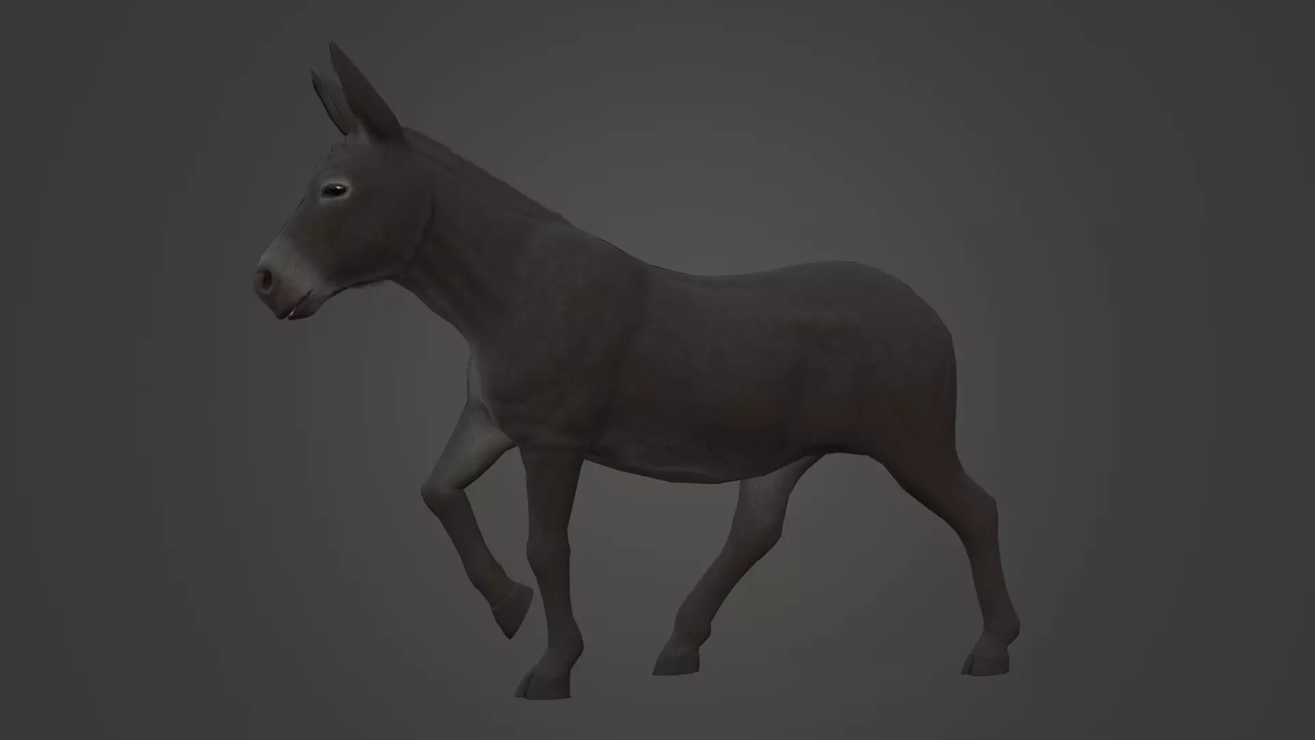 Horse and Donkey Low Poly Low-poly 3D model_12