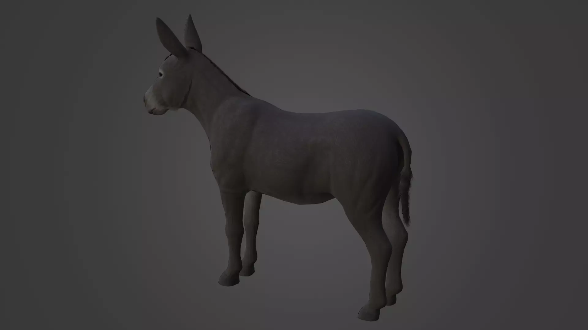 Horse and Donkey Low Poly Low-poly 3D model_16