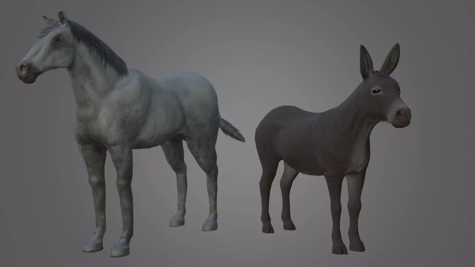 Horse and Donkey Low Poly Low-poly 3D model_2
