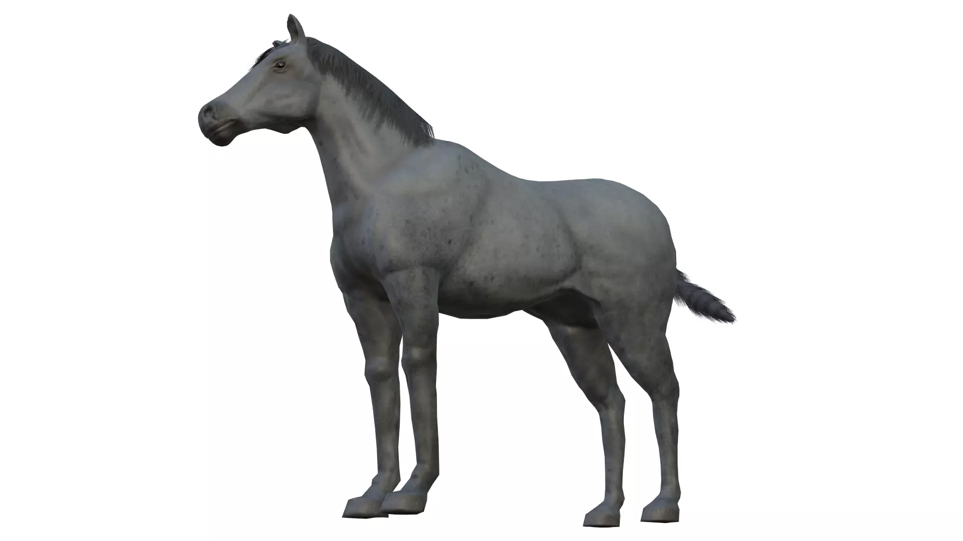 Horse and Donkey Low Poly Low-poly 3D model_4