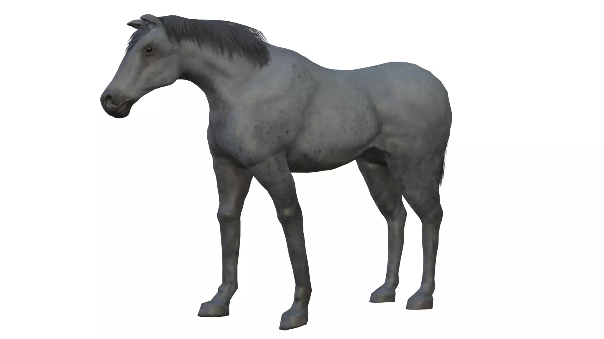 Horse and Donkey Low Poly Low-poly 3D model_8
