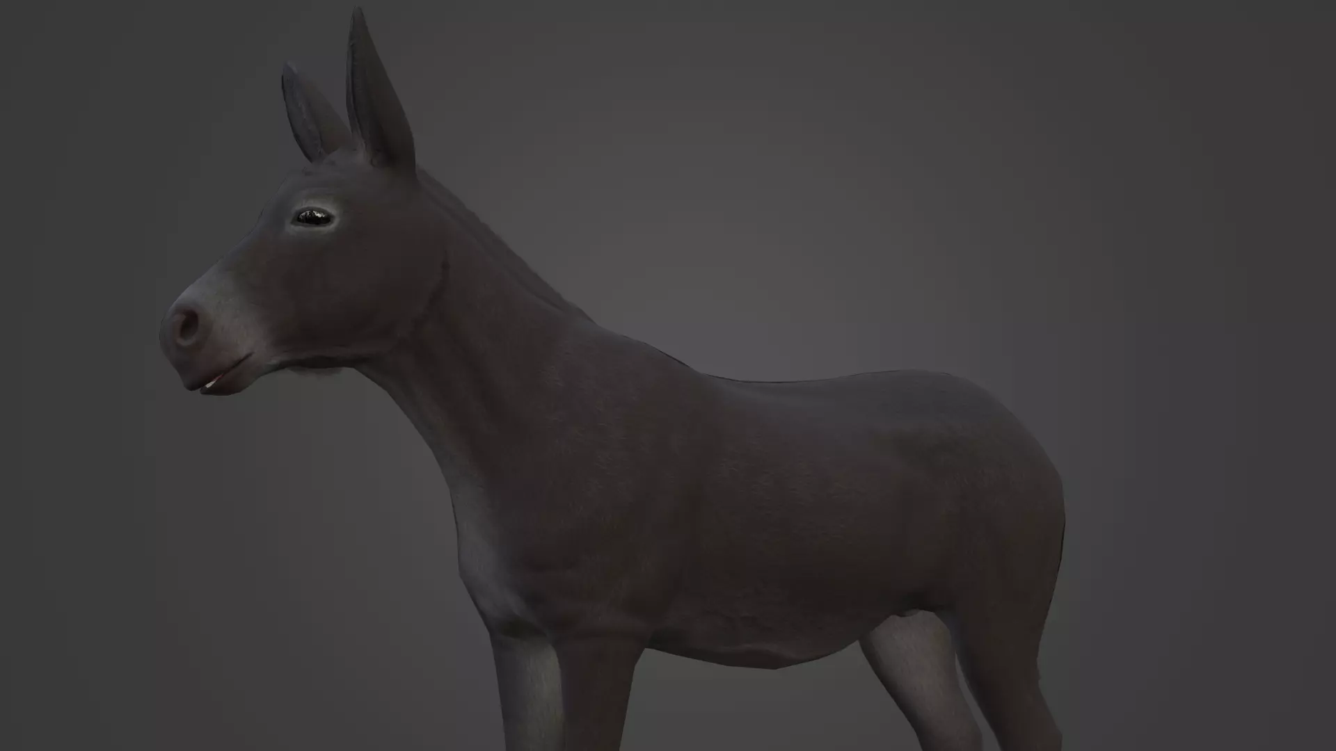 Horse and Donkey Low Poly Low-poly 3D model_14