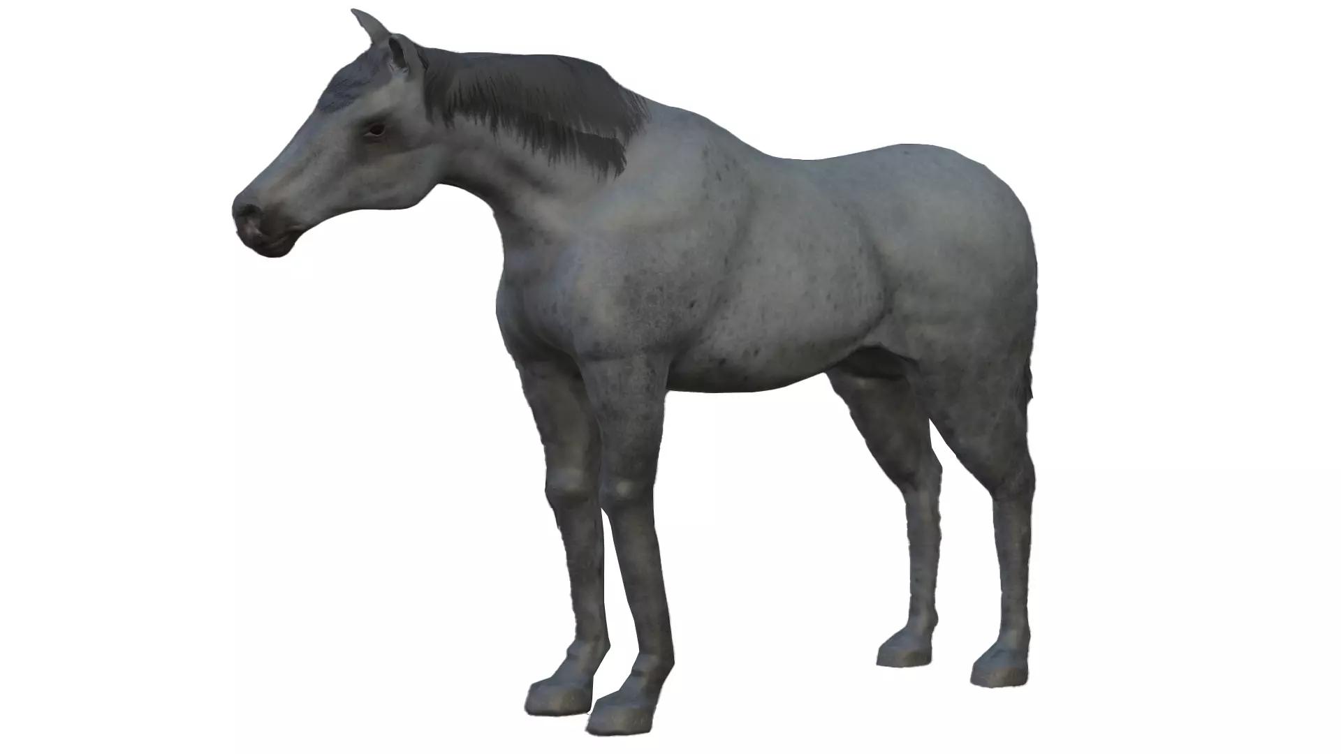 Horse and Donkey Low Poly Low-poly 3D model_7