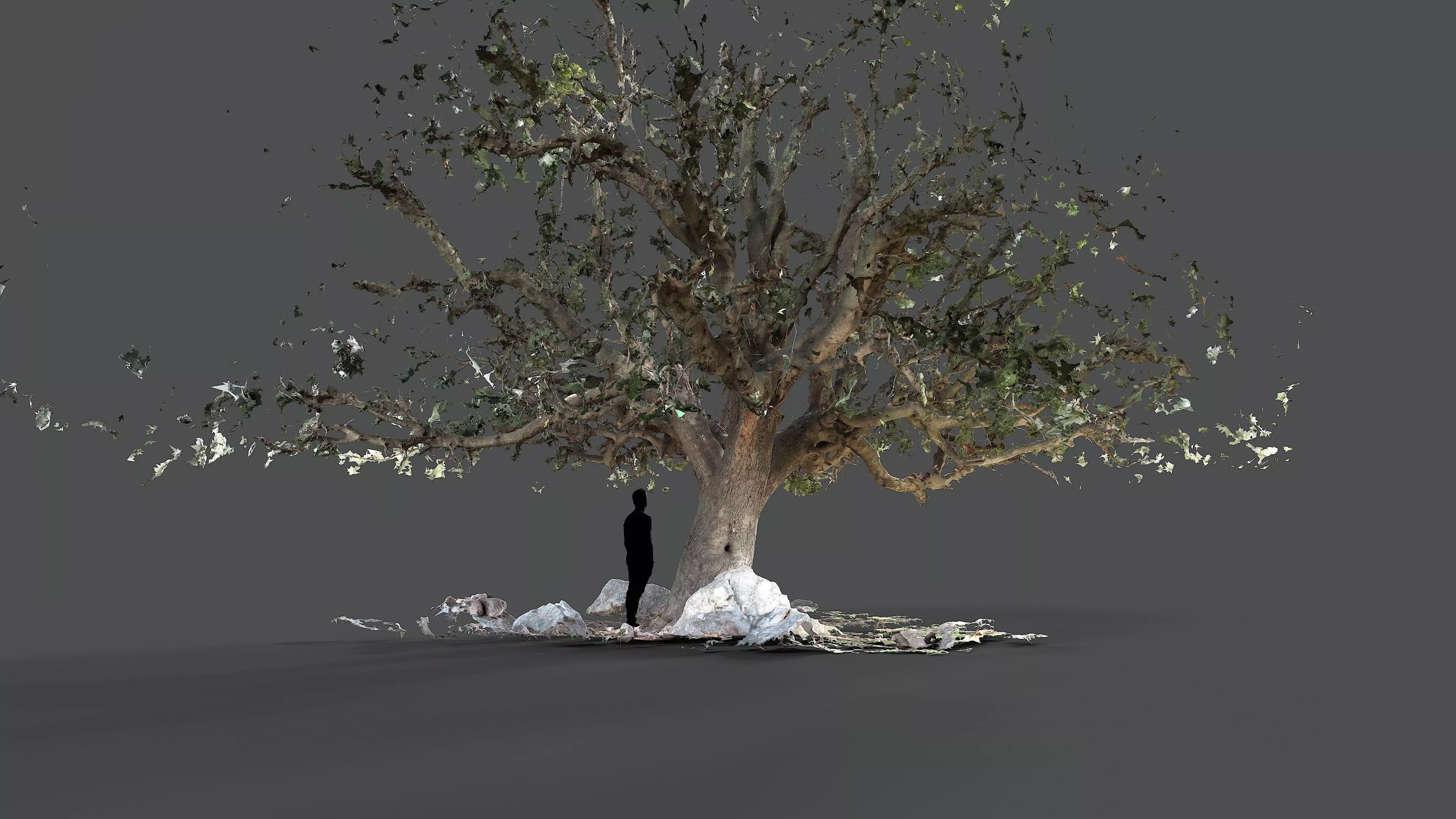 Abandoned Village Tree Trunk Scan - Tree 01 3D model_14